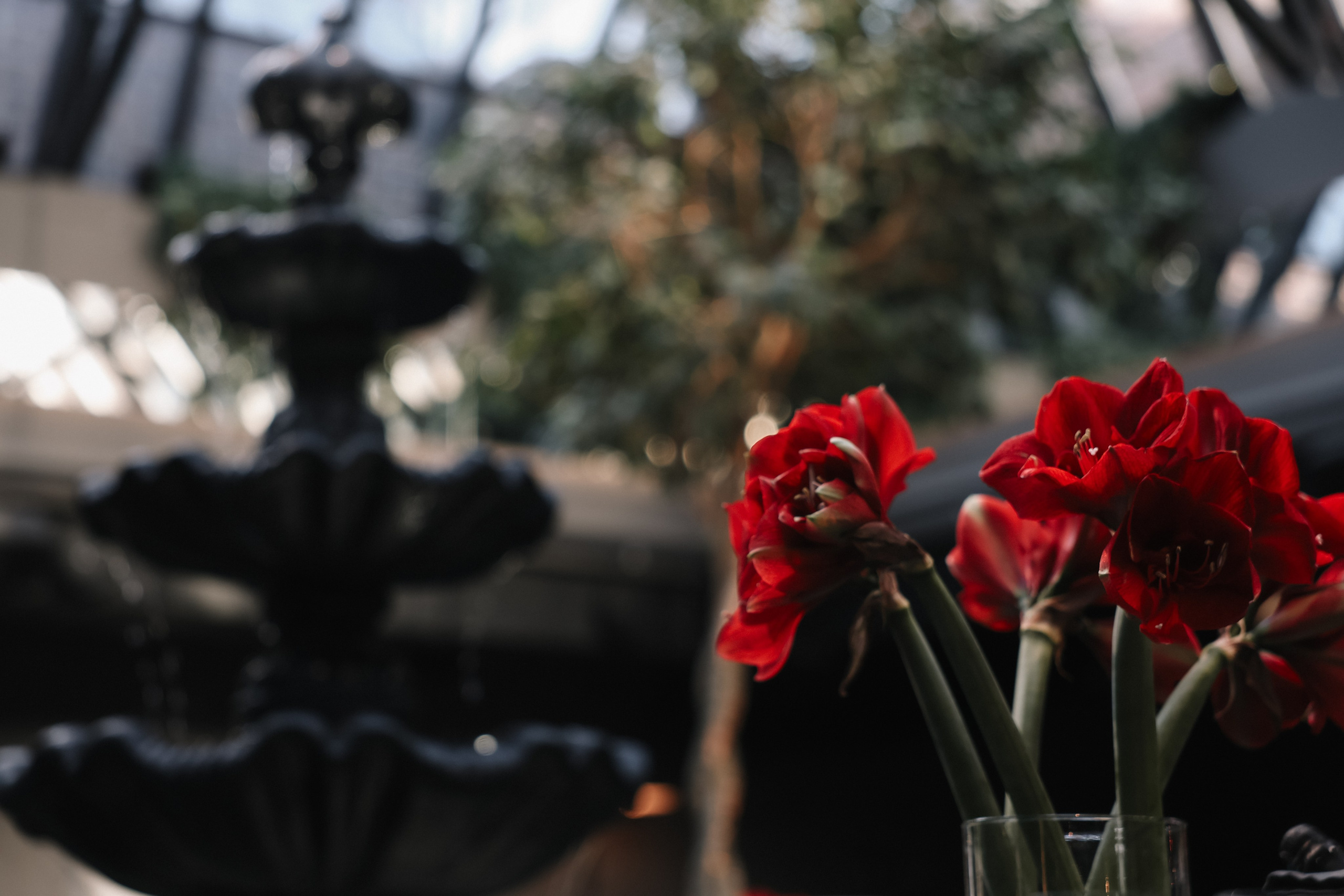 DENIS & ELIZAVETA Барвиха. Kharchenkotatianaweddingphoto