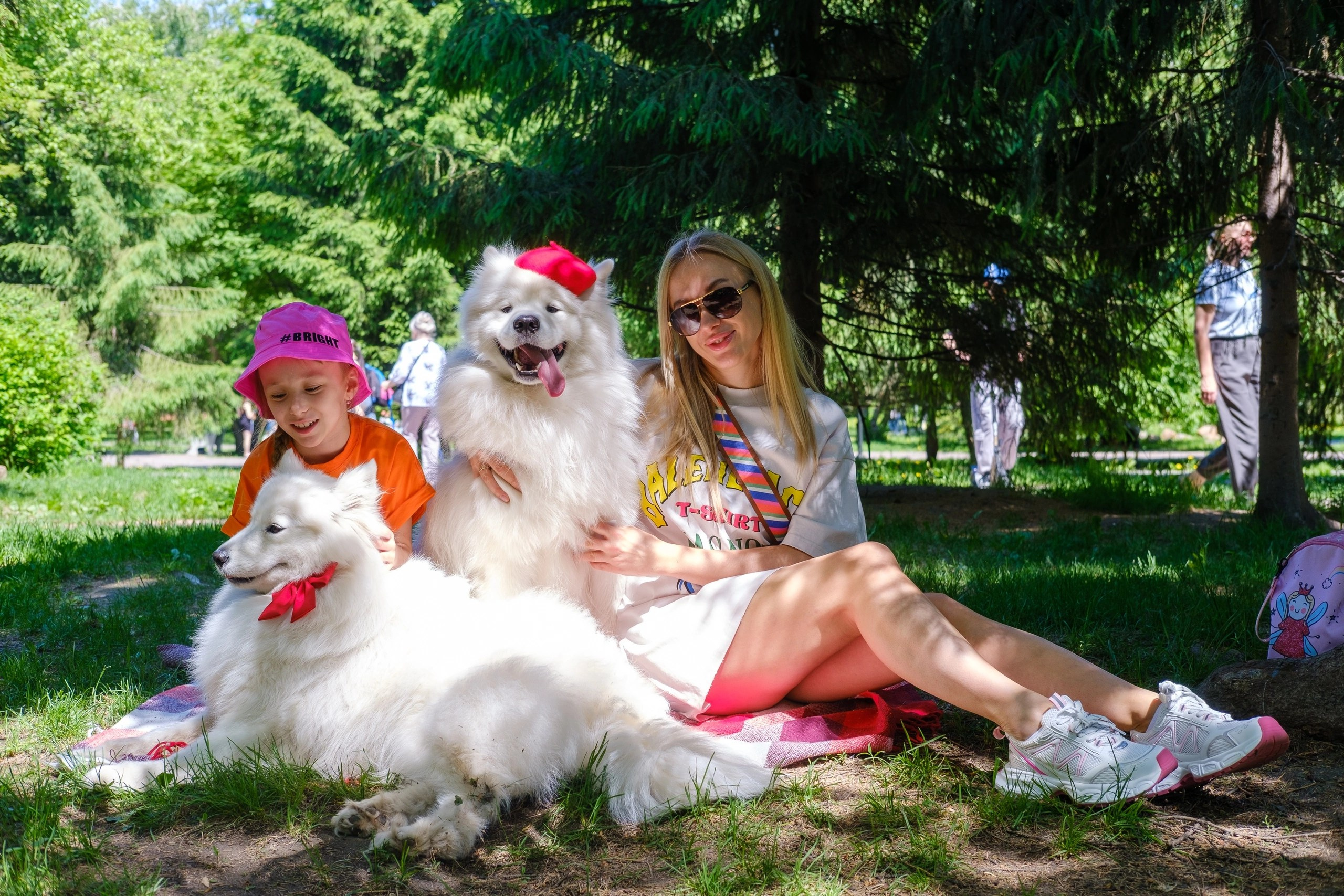 Благотворительная фотосессия. Самоед Новосибирск
