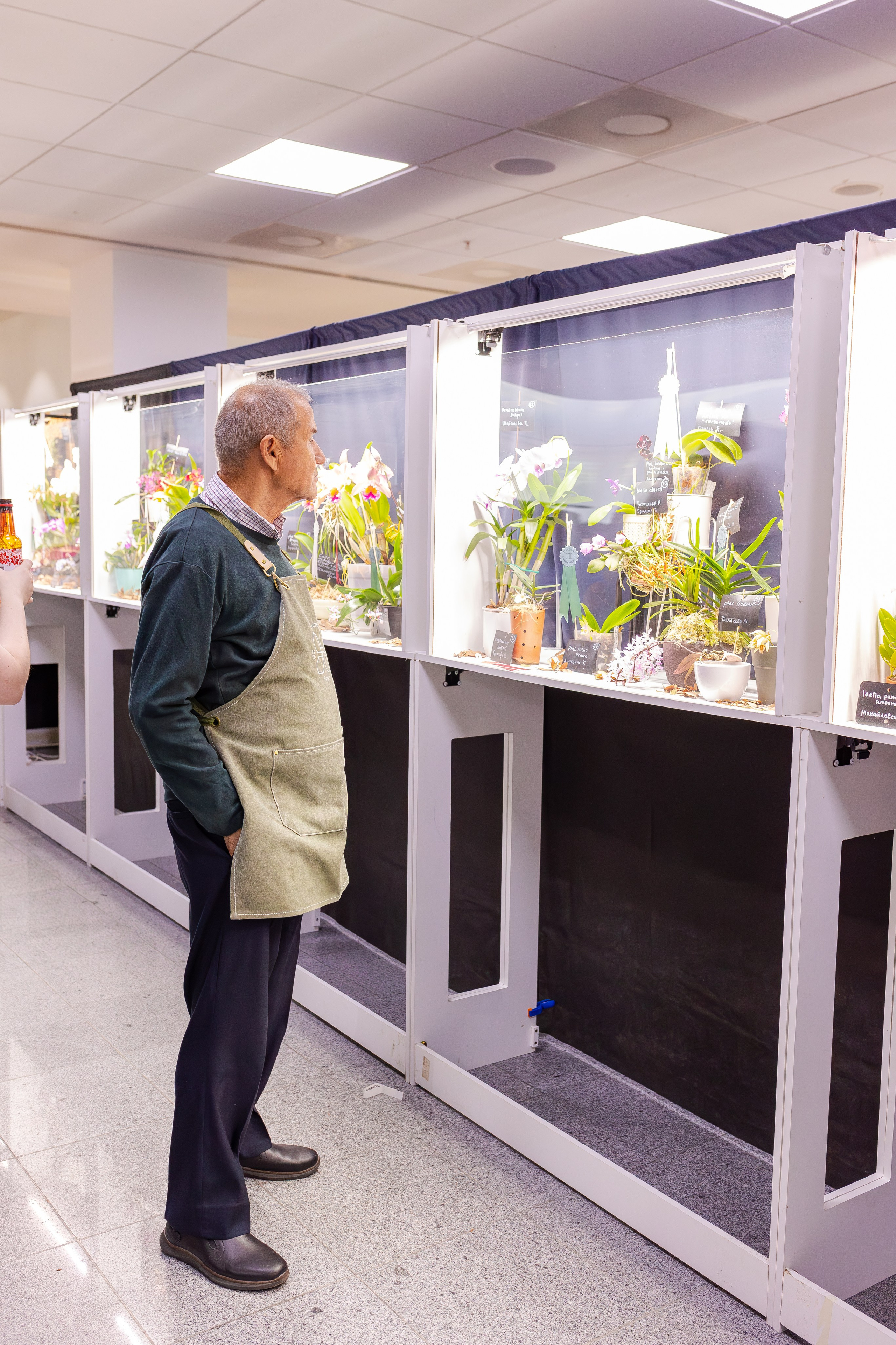 Орхидиум сентябрь 2025. Александра Куликова фотограф, Москва