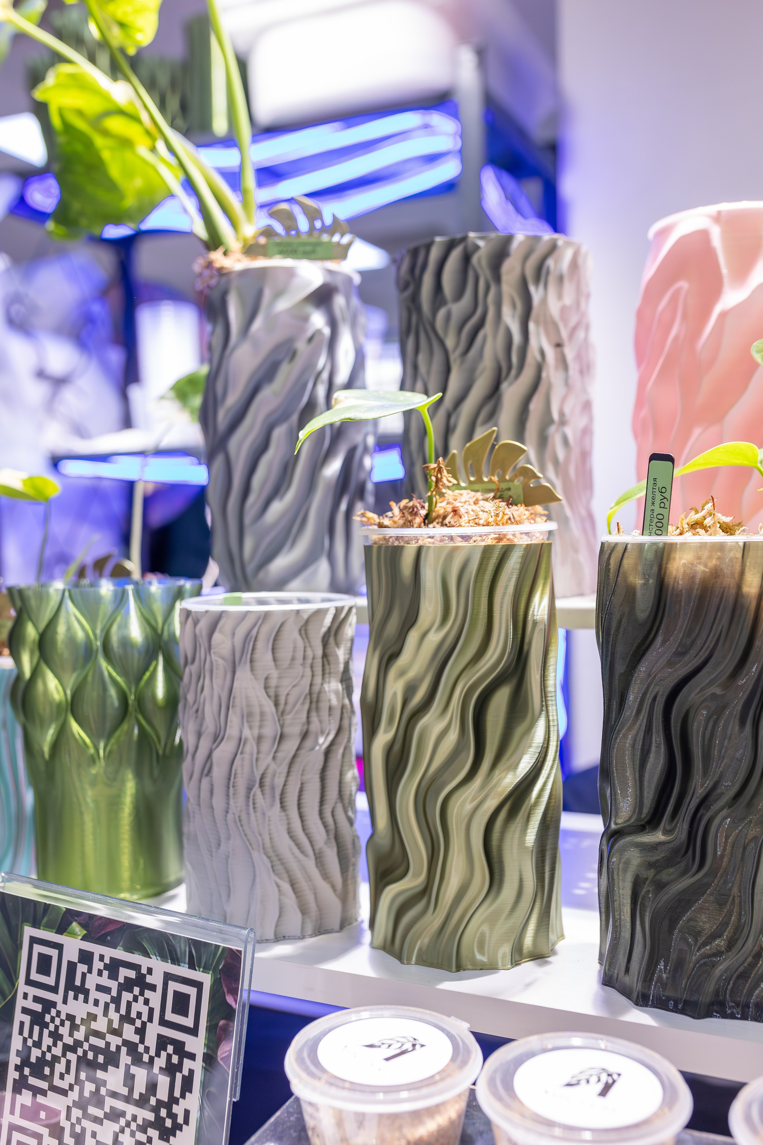 Монстериум апрель 2026. Александра Куликова фотограф, Москва