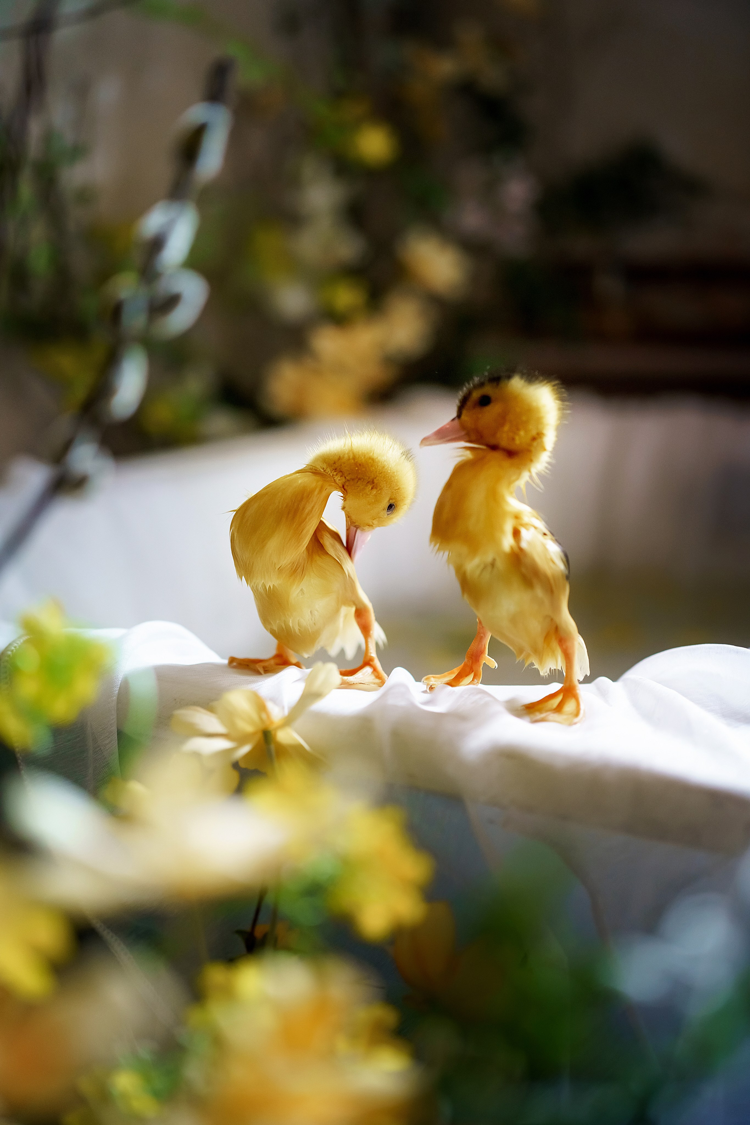 . Фотограф в Москве и Одинцово