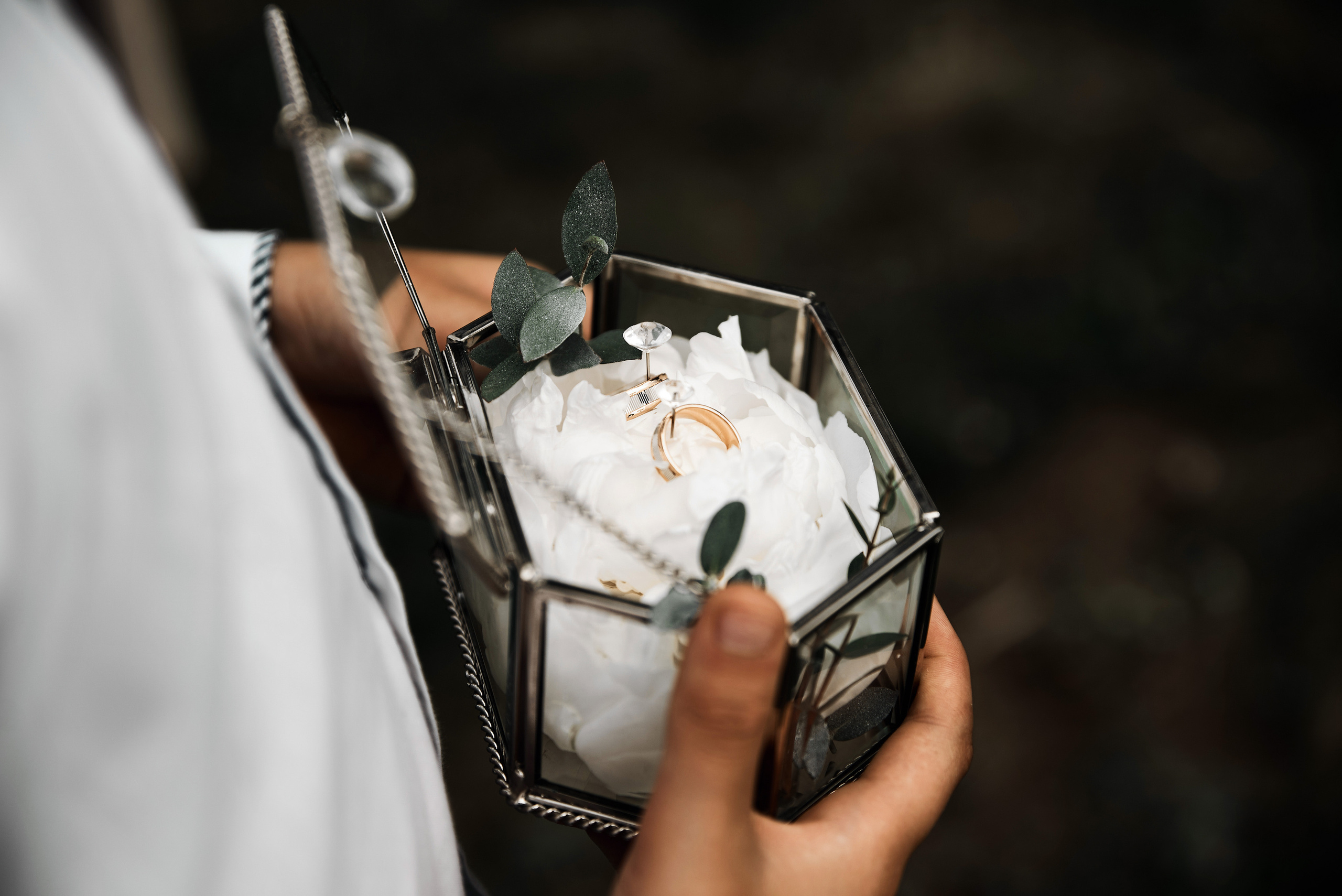 Дарья & Николай. Фотограф Михаил Ефремов