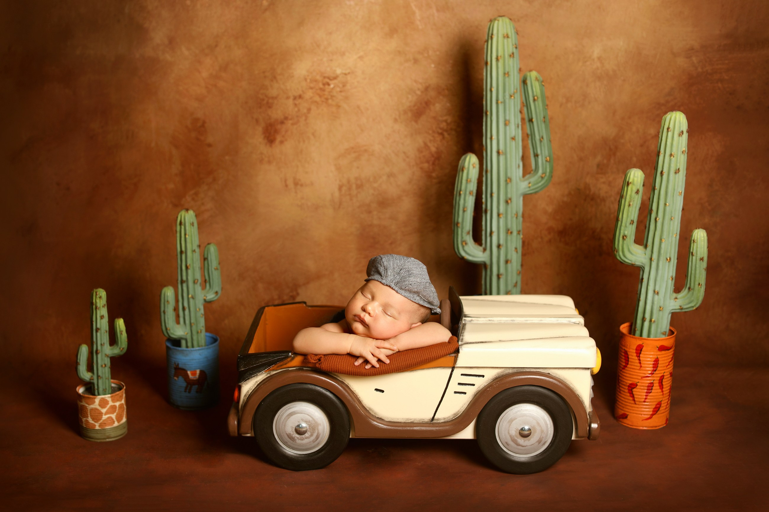 фотосессии новорожденных великий новгород