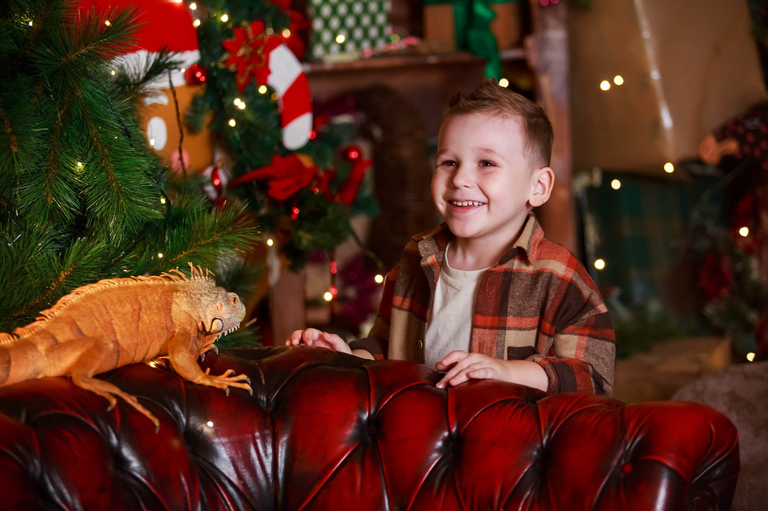 Фотосессия с игуаной символ года Дракона. Семейный и детский фотограф в Москве Мария Быкова