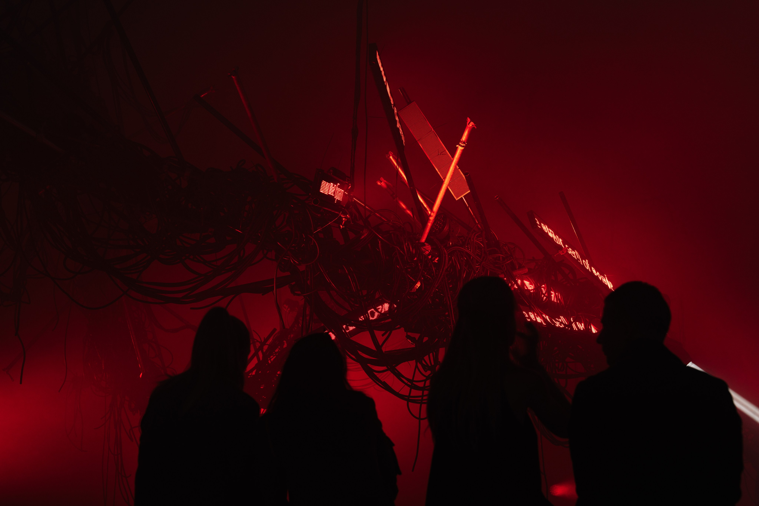 PERFORMA, The Hour of the Horse. @tomrus: Рустам Шагиморданов — фотограф