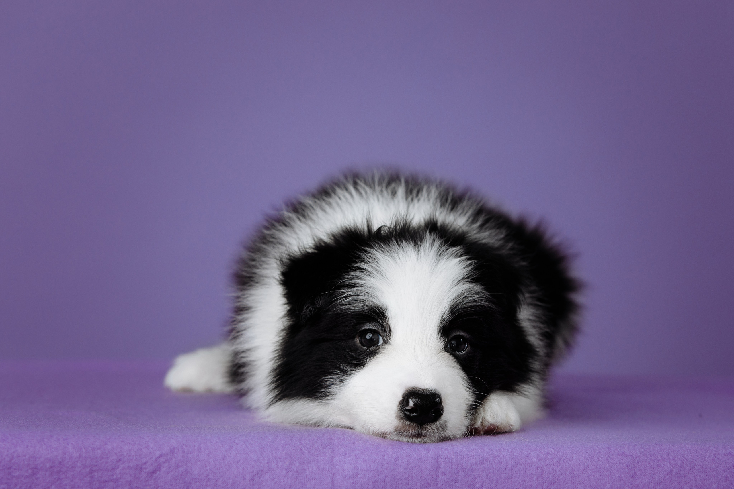 Март. Весна. 22. О нас