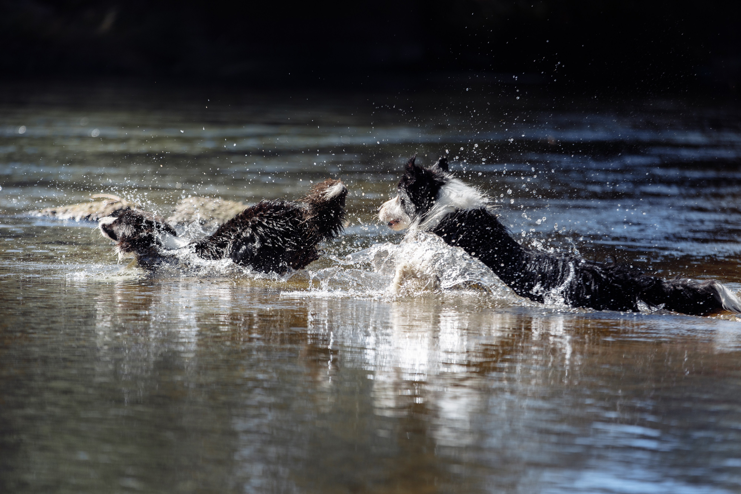 Водяные в Новотроицке. О нас