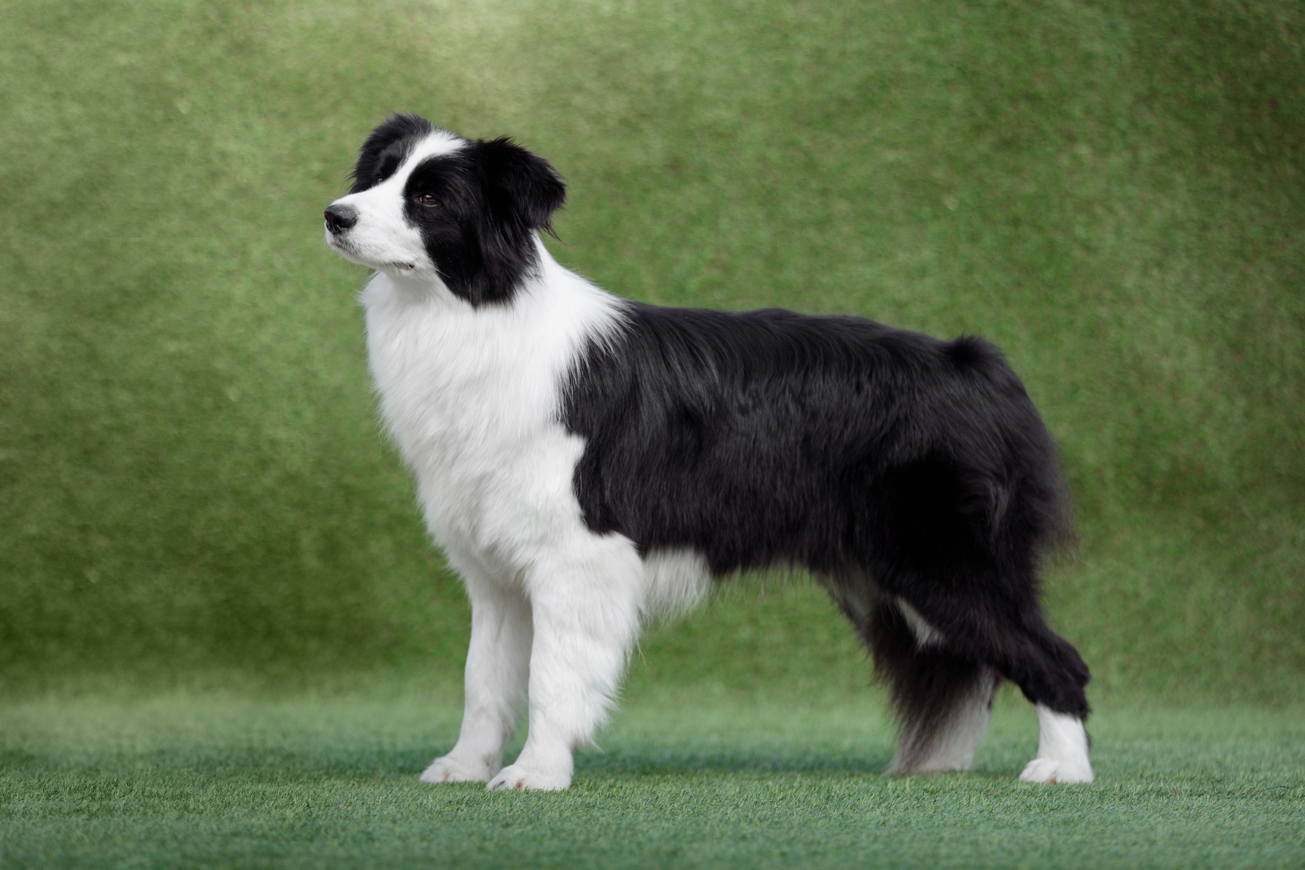 Свое место. О нас