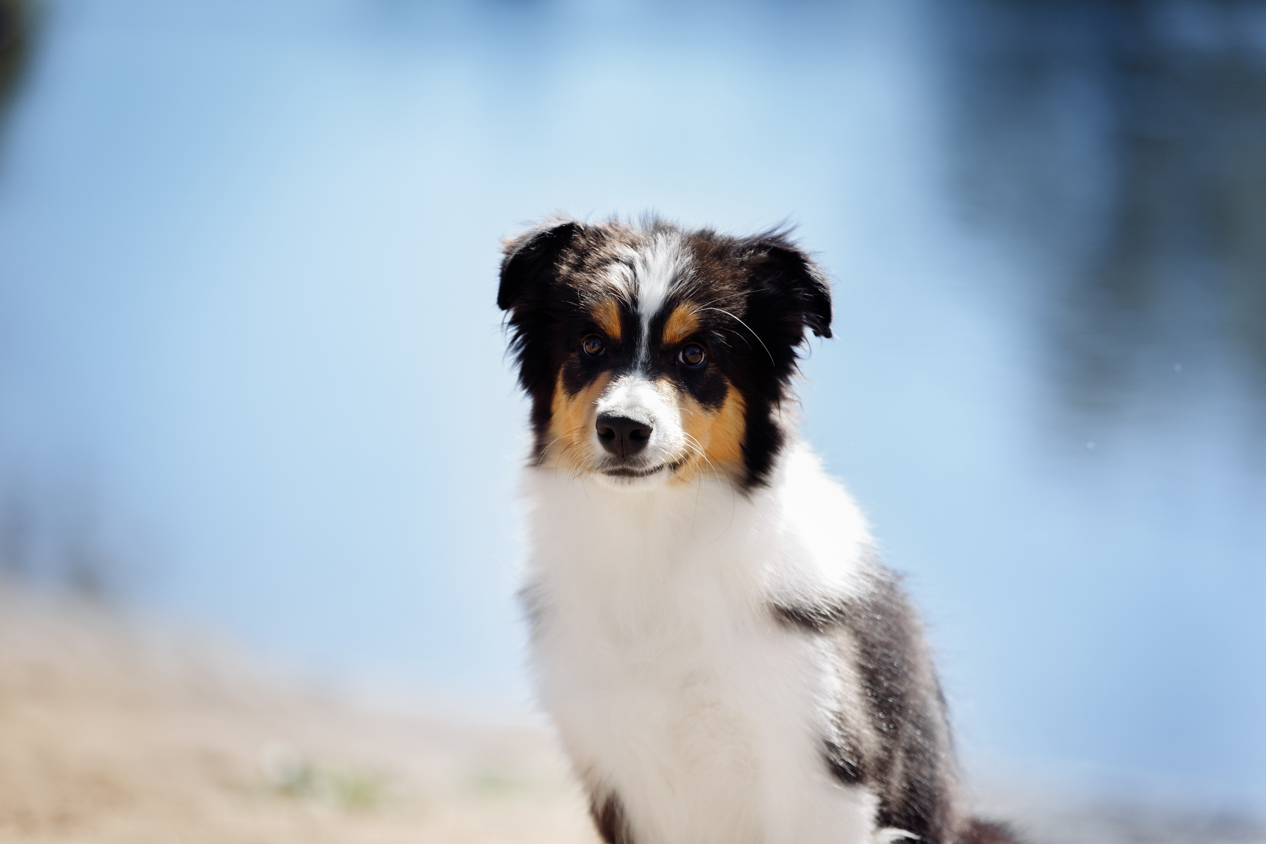 Водяные в Новотроицке. О нас