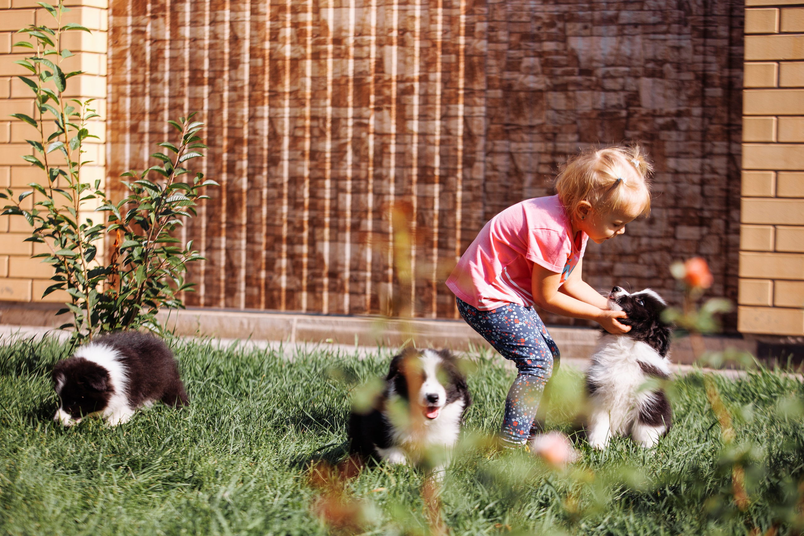 МММ — маленькое мягкое милое. О нас