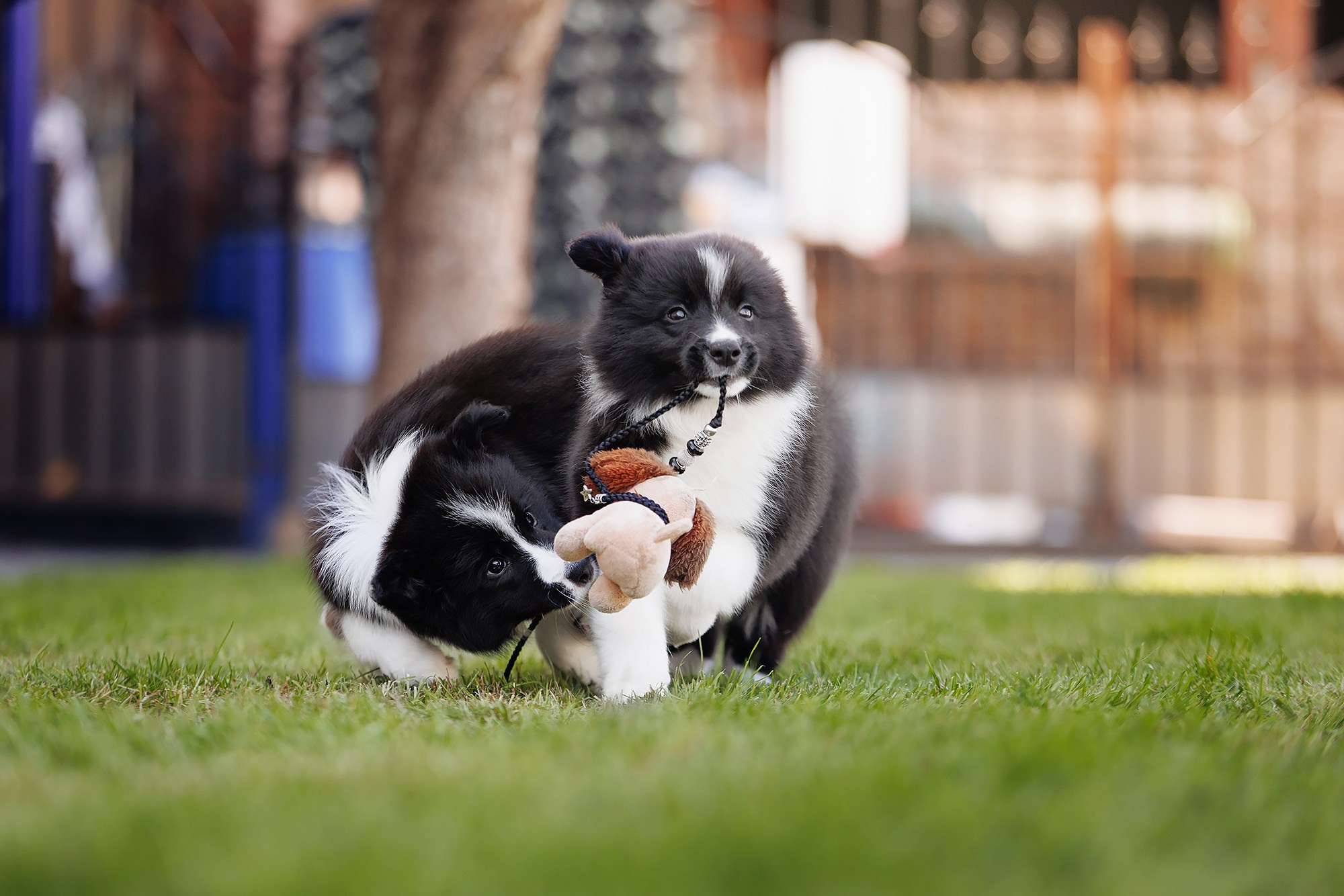 Трава у дома. О нас