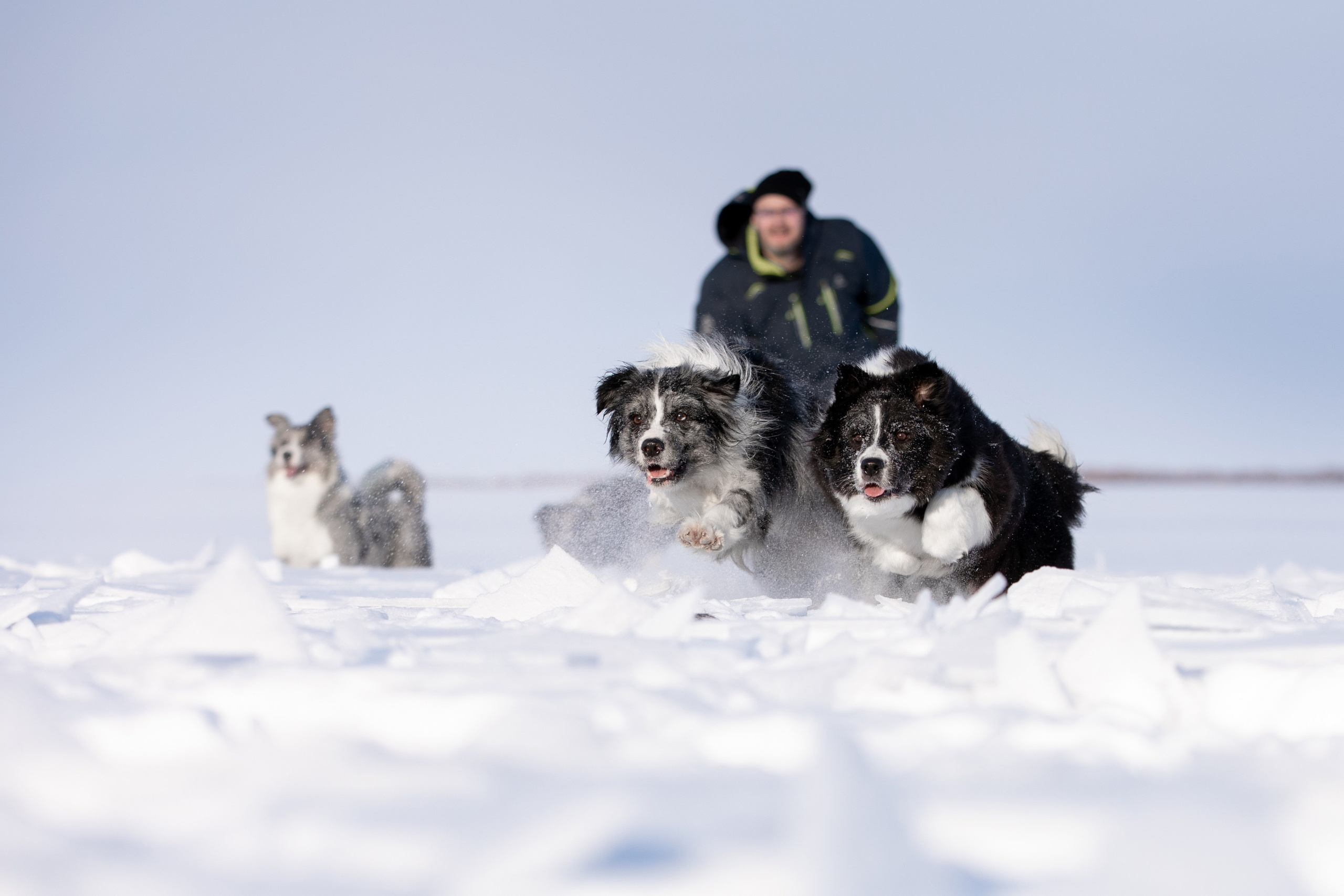 Мороз и солнце. О нас