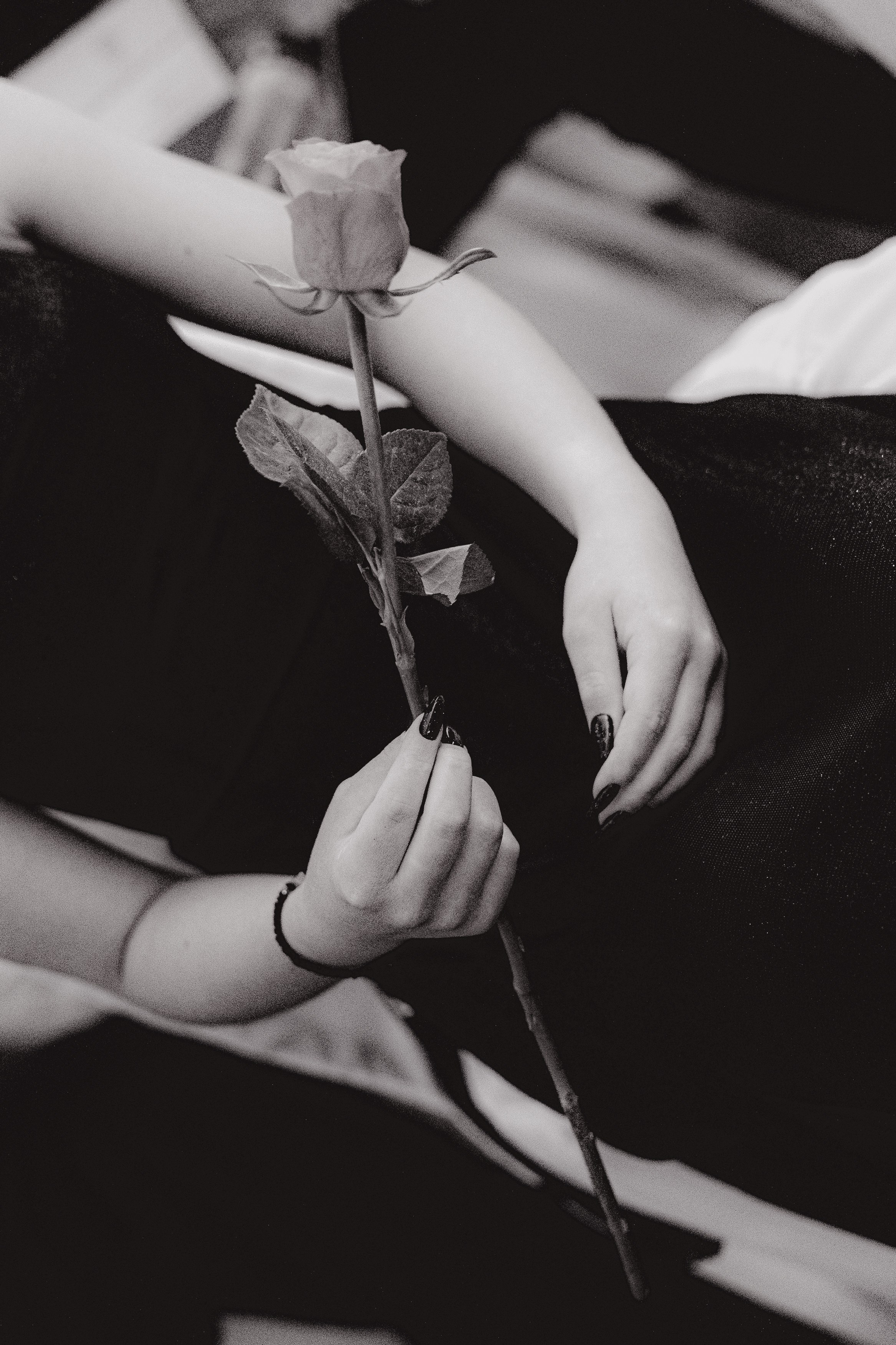 Вручение аттестатов. Свадебный фотограф Роман Еремеев