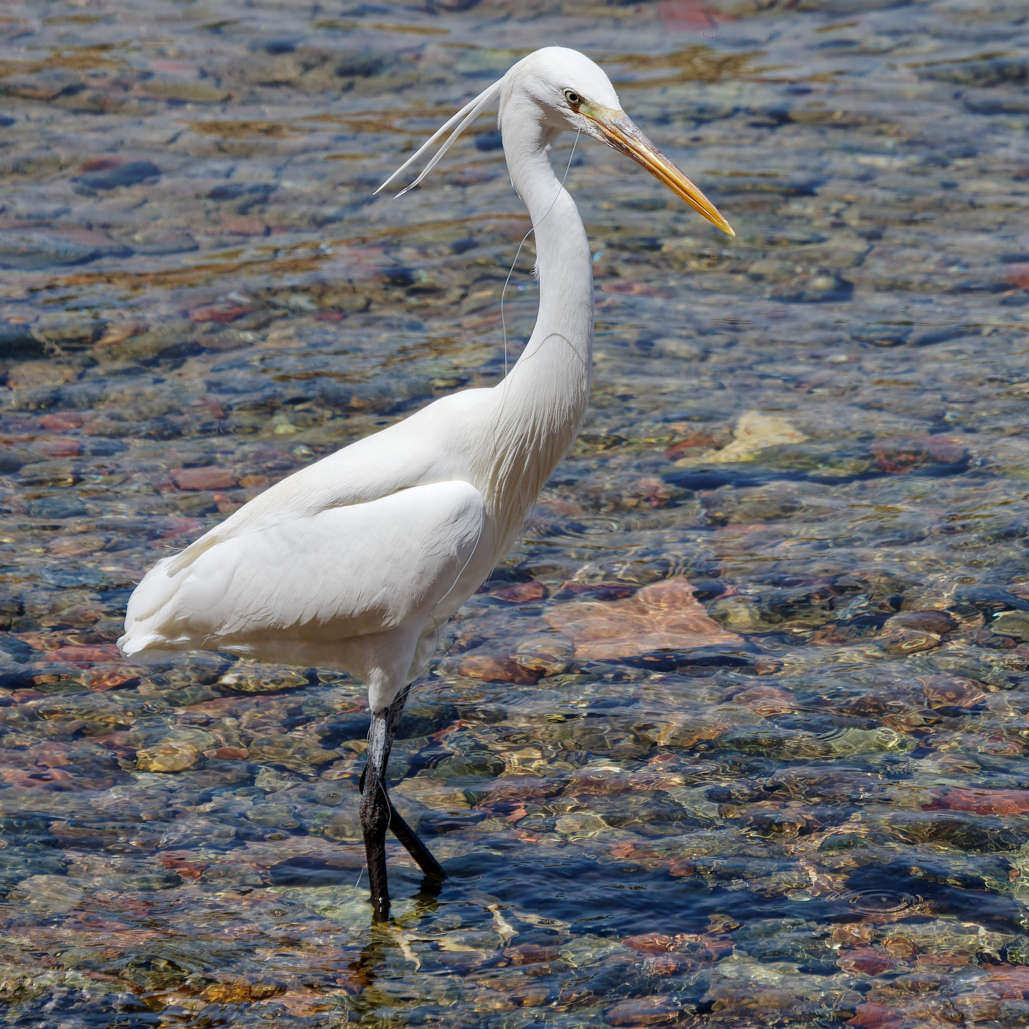 Шарм-эль-Шейх 2024. Избранные фотографии
