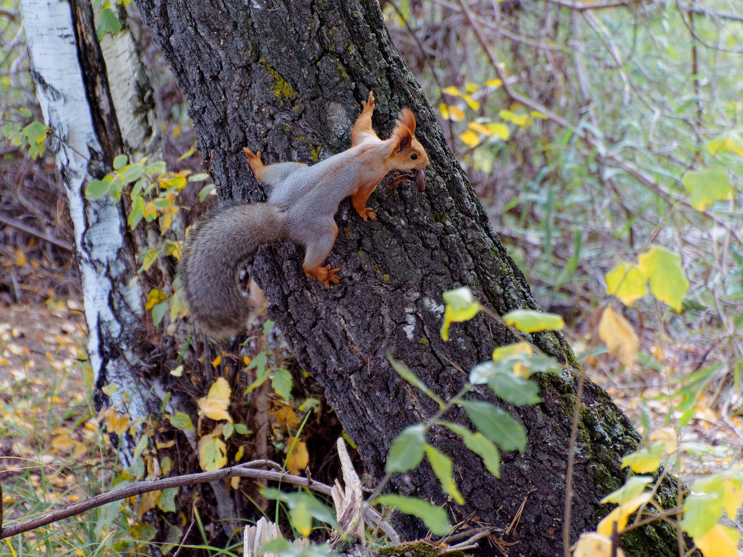 Боровое 2021 (из архива). Избранные фотографии