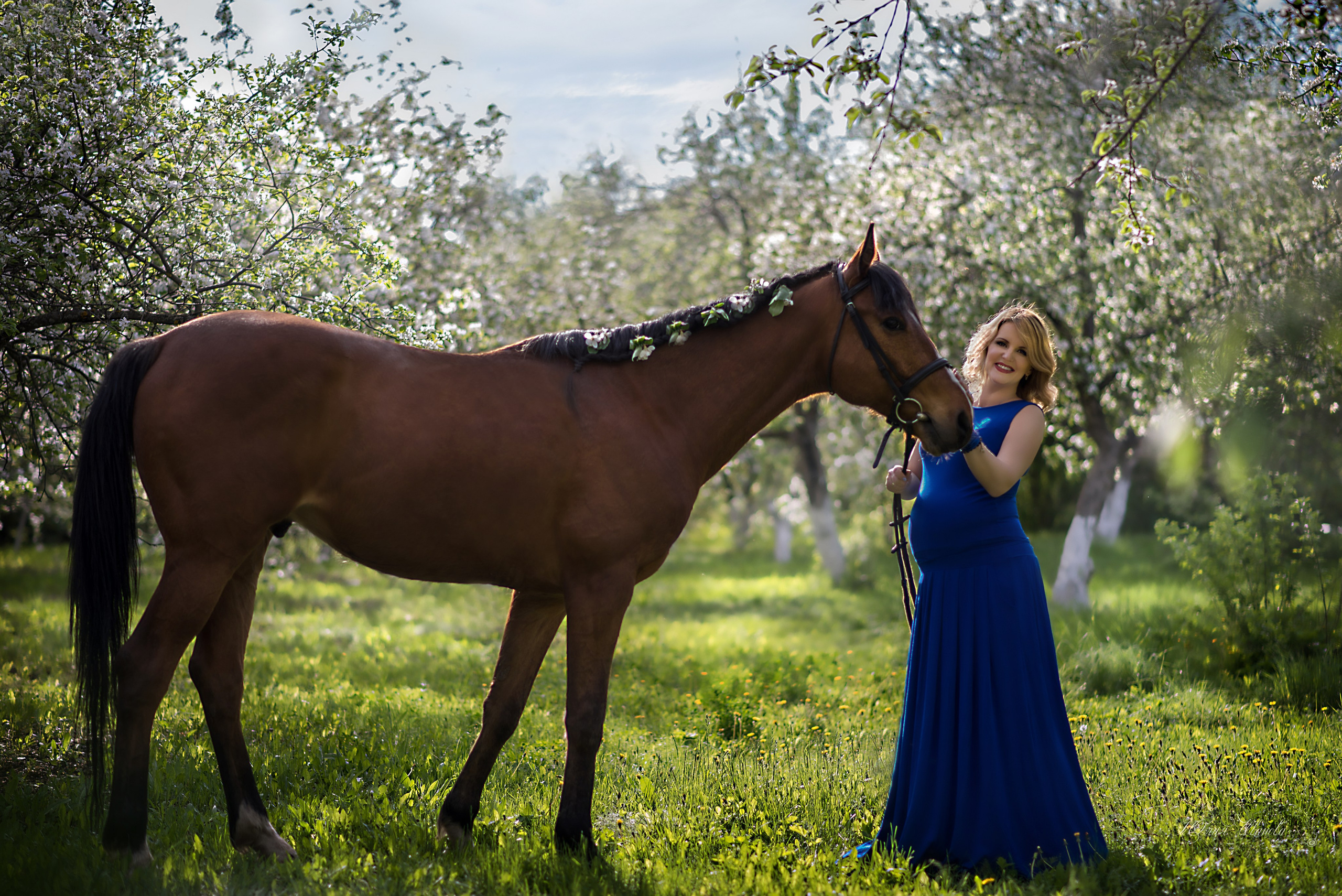 Беременность. Конный фотограф в Саратове Юлия Иванова
