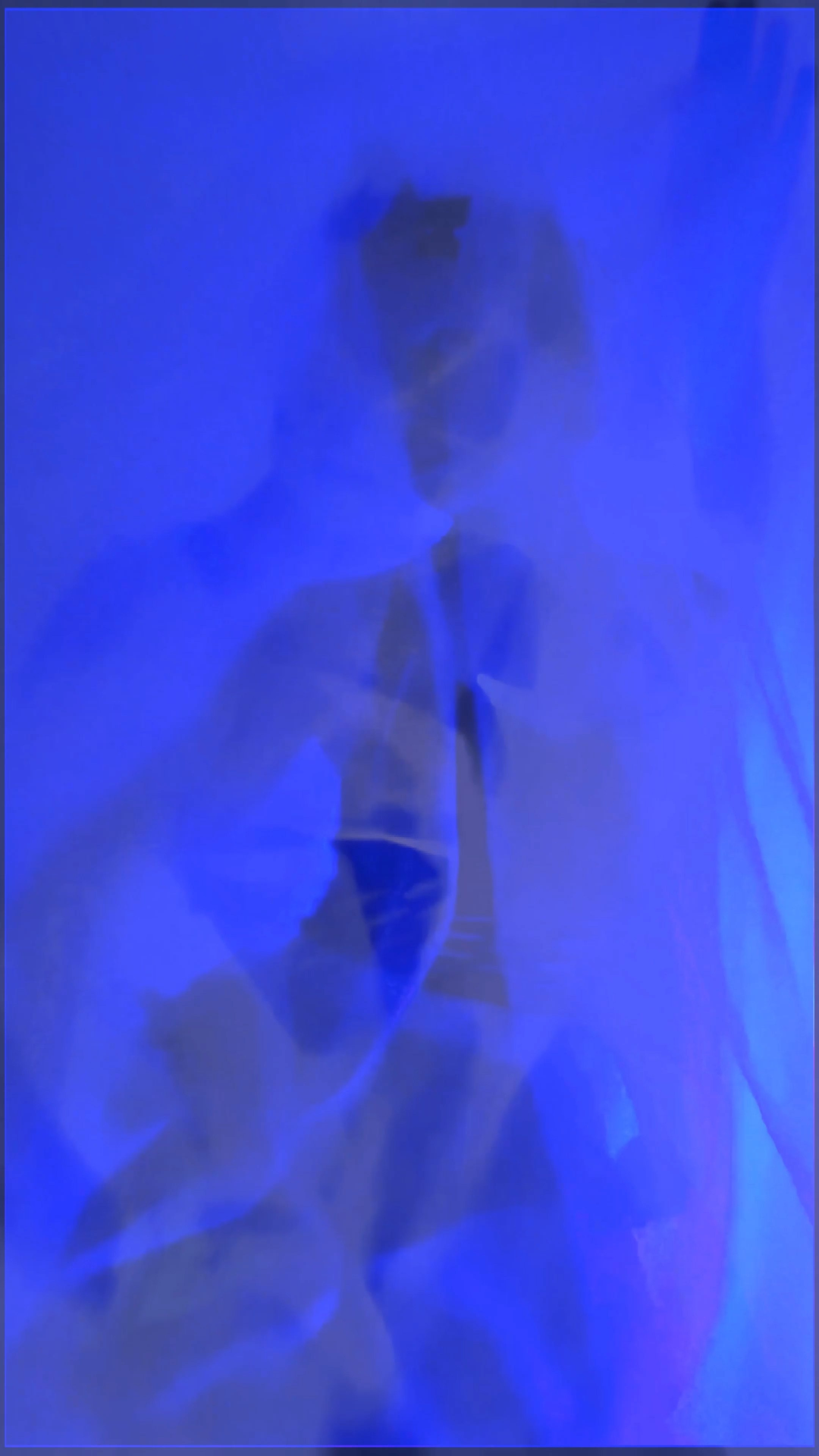 THE SAPPHIRE VEIL. Exclusive Closing Gifts for Top Realtors | Custom House Portraits by Yulia Yurchevskaya