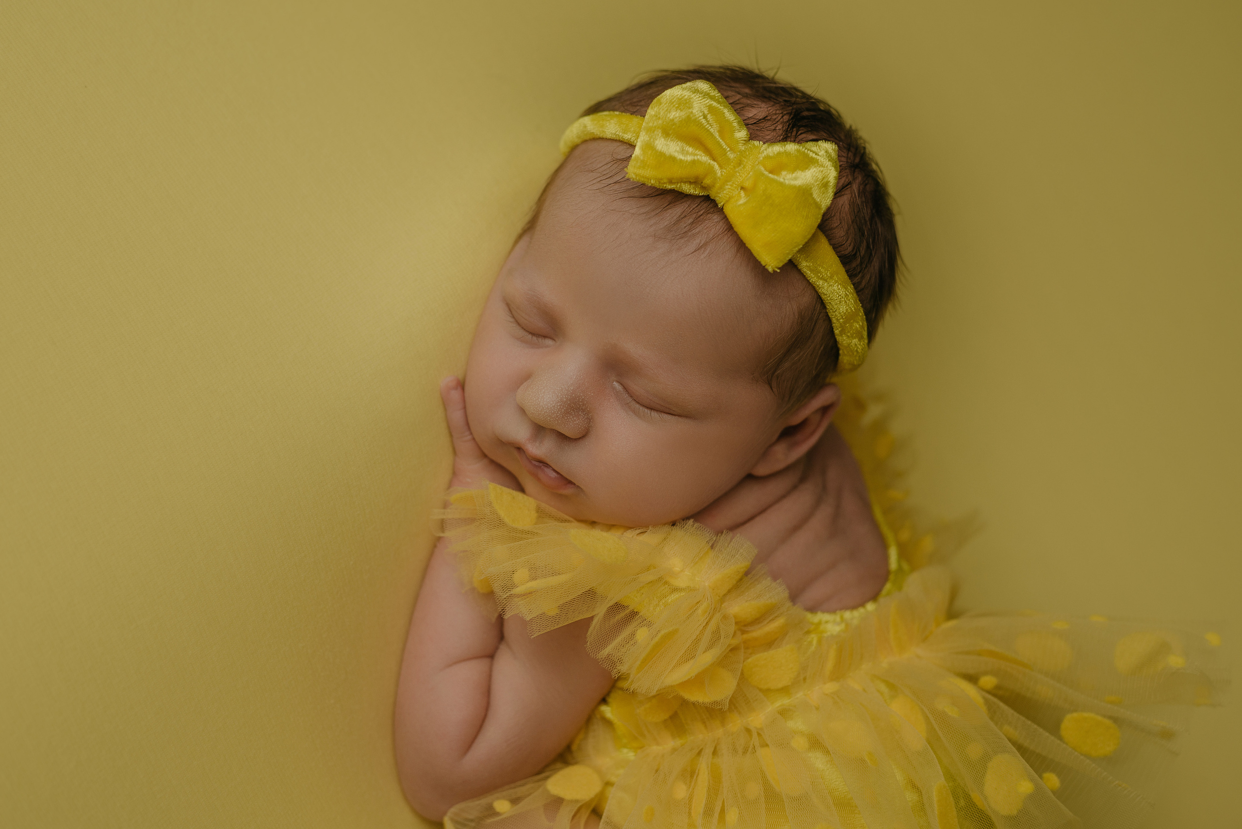 Ульяна. Фотограф новорожденных Белгород