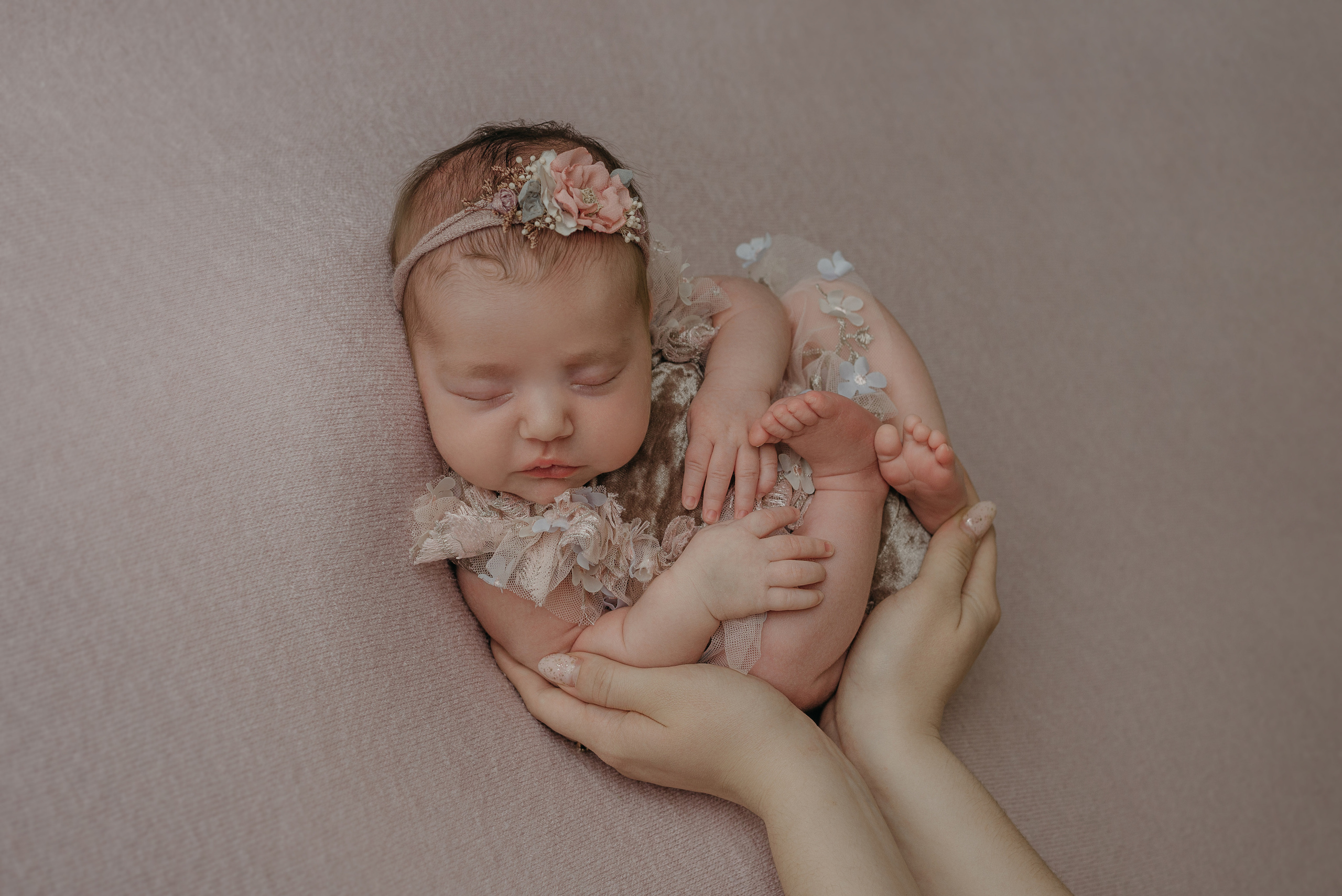 Соня. Фотограф новорожденных Белгород