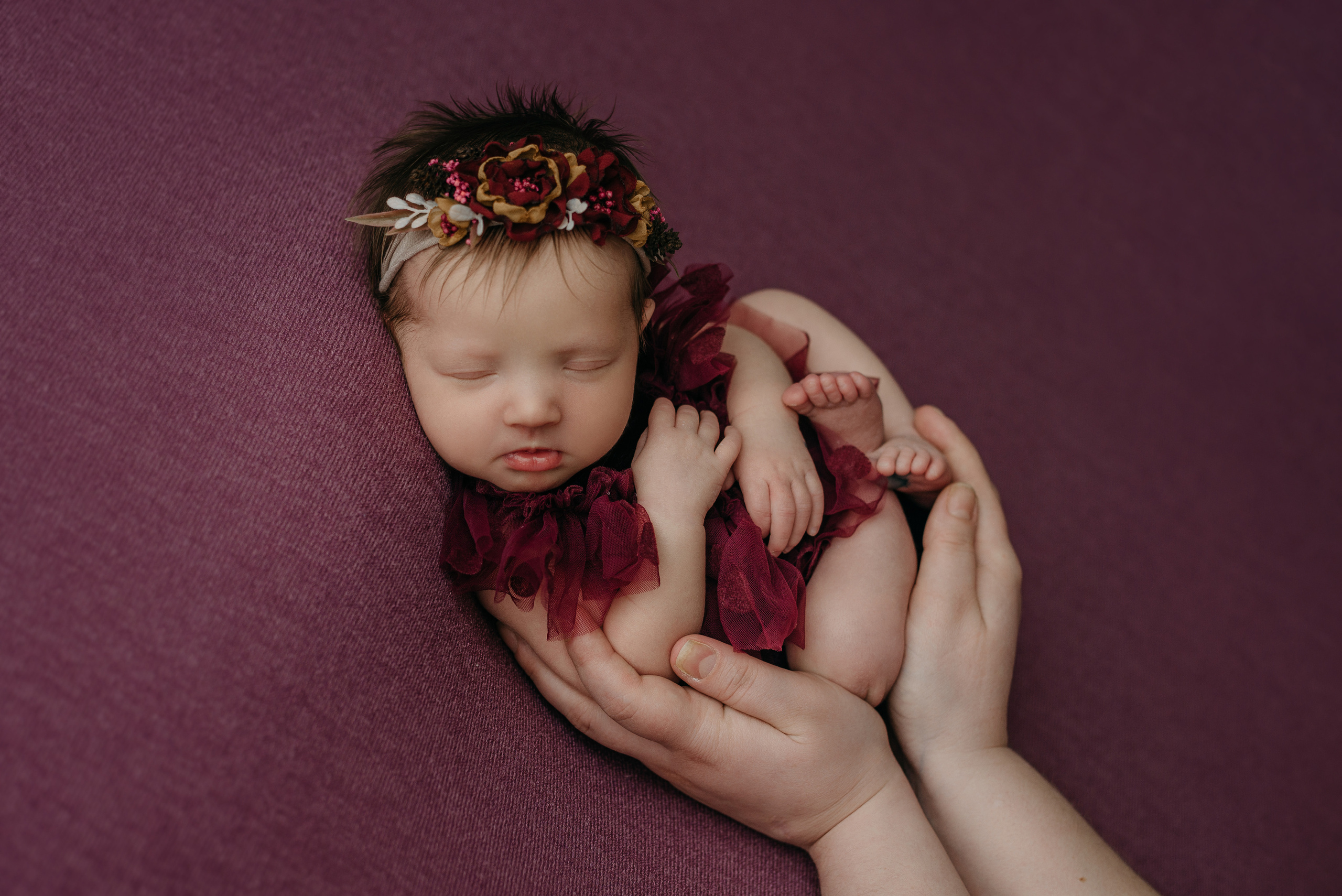 Вероника. Фотограф новорожденных Белгород