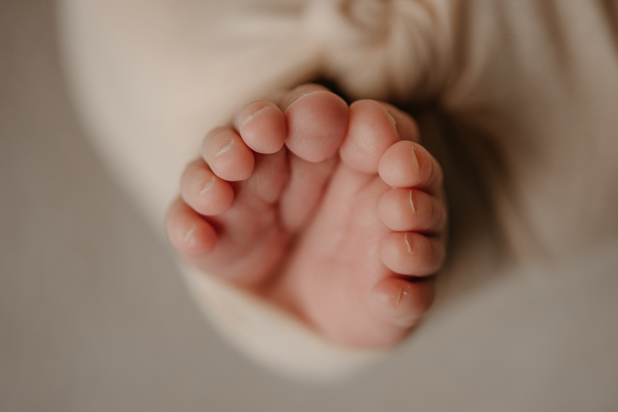 Соня. Фотограф новорожденных Белгород