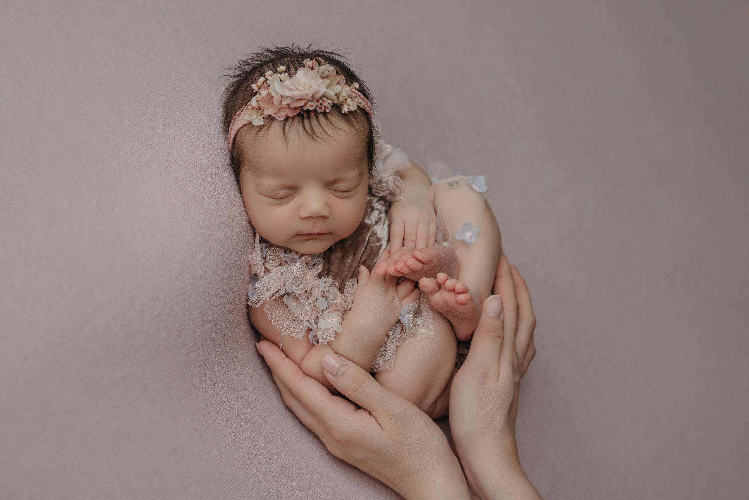 Соня. Фотограф новорожденных Белгород