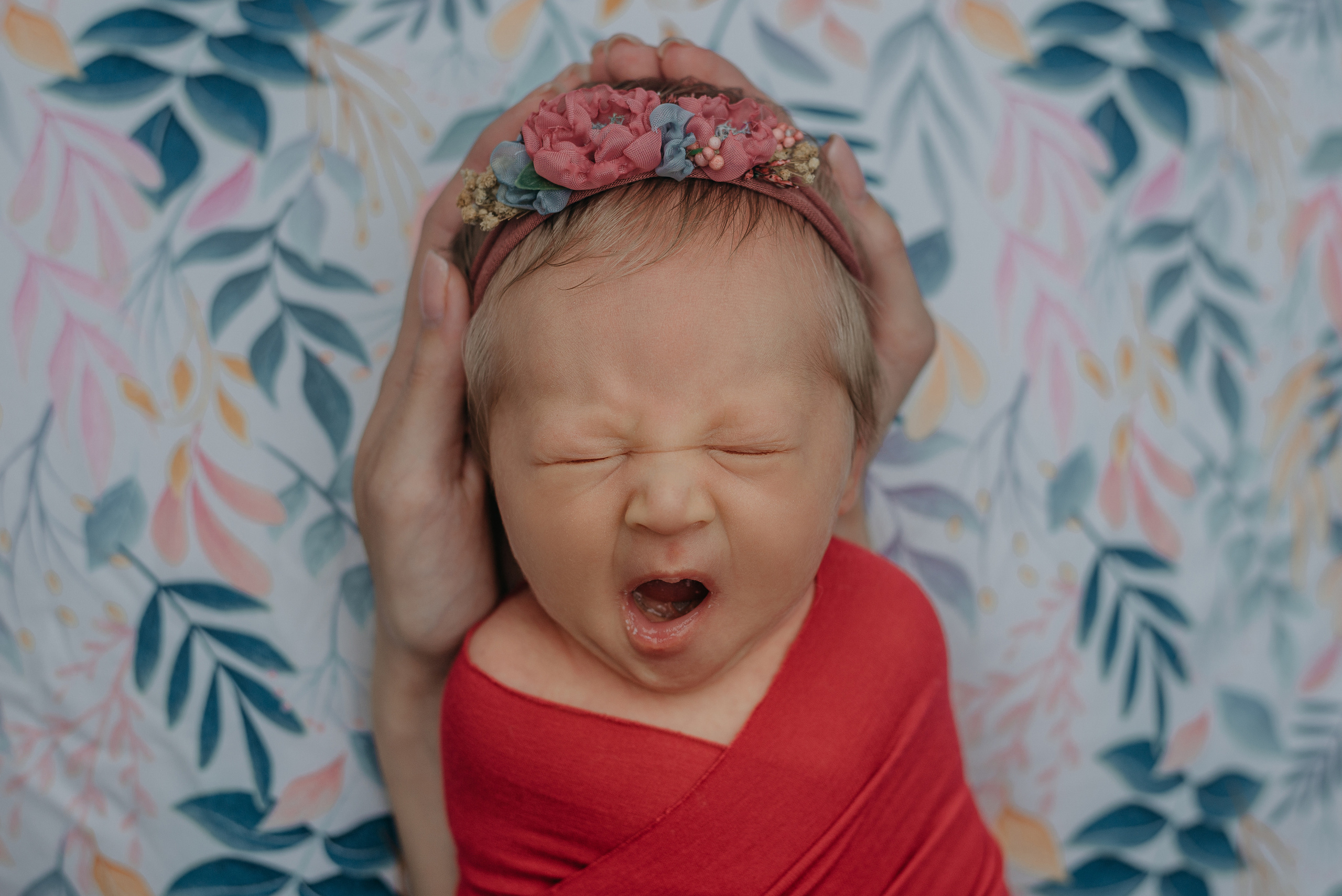 София. Фотограф новорожденных Белгород