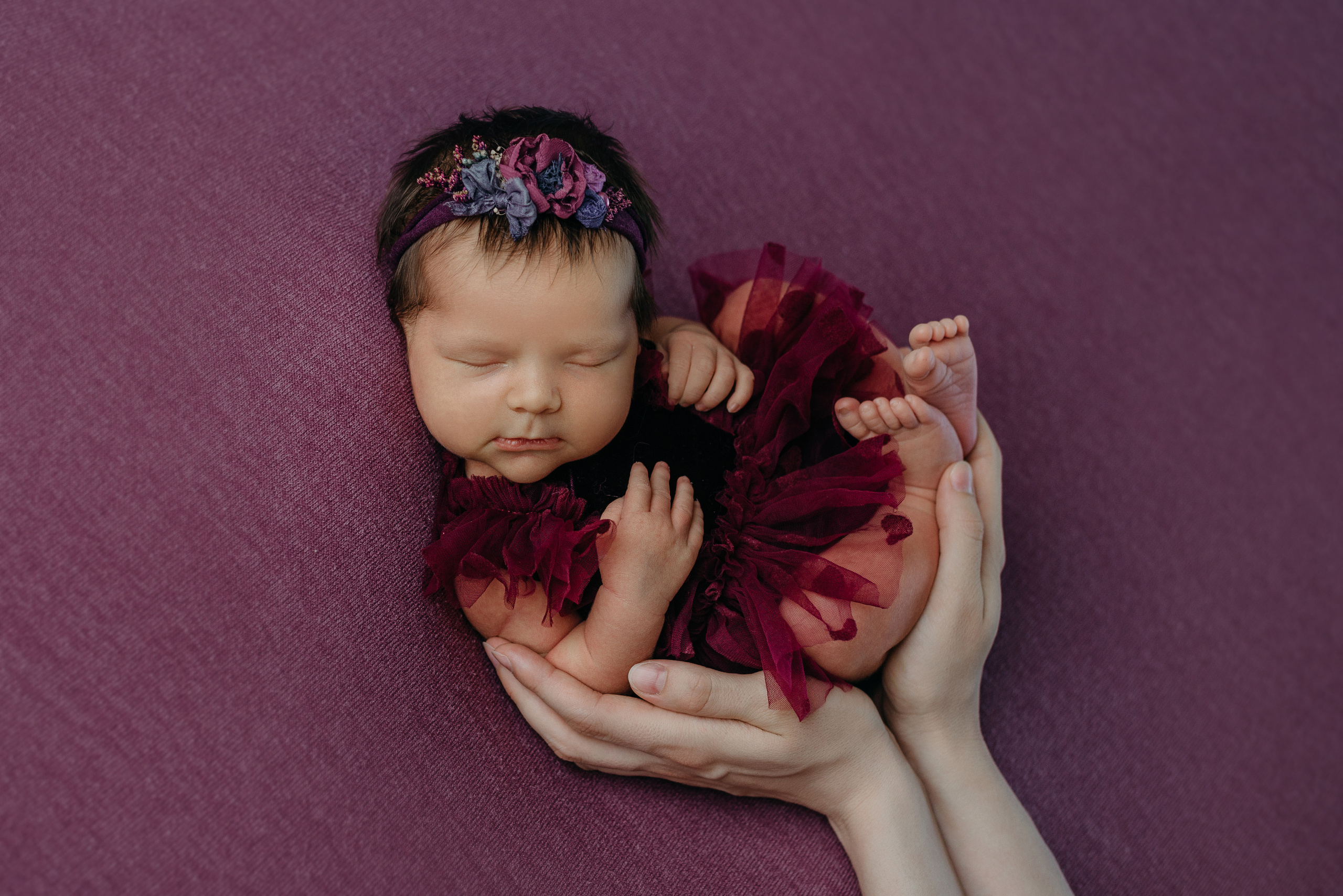 Полина. Фотограф новорожденных Белгород