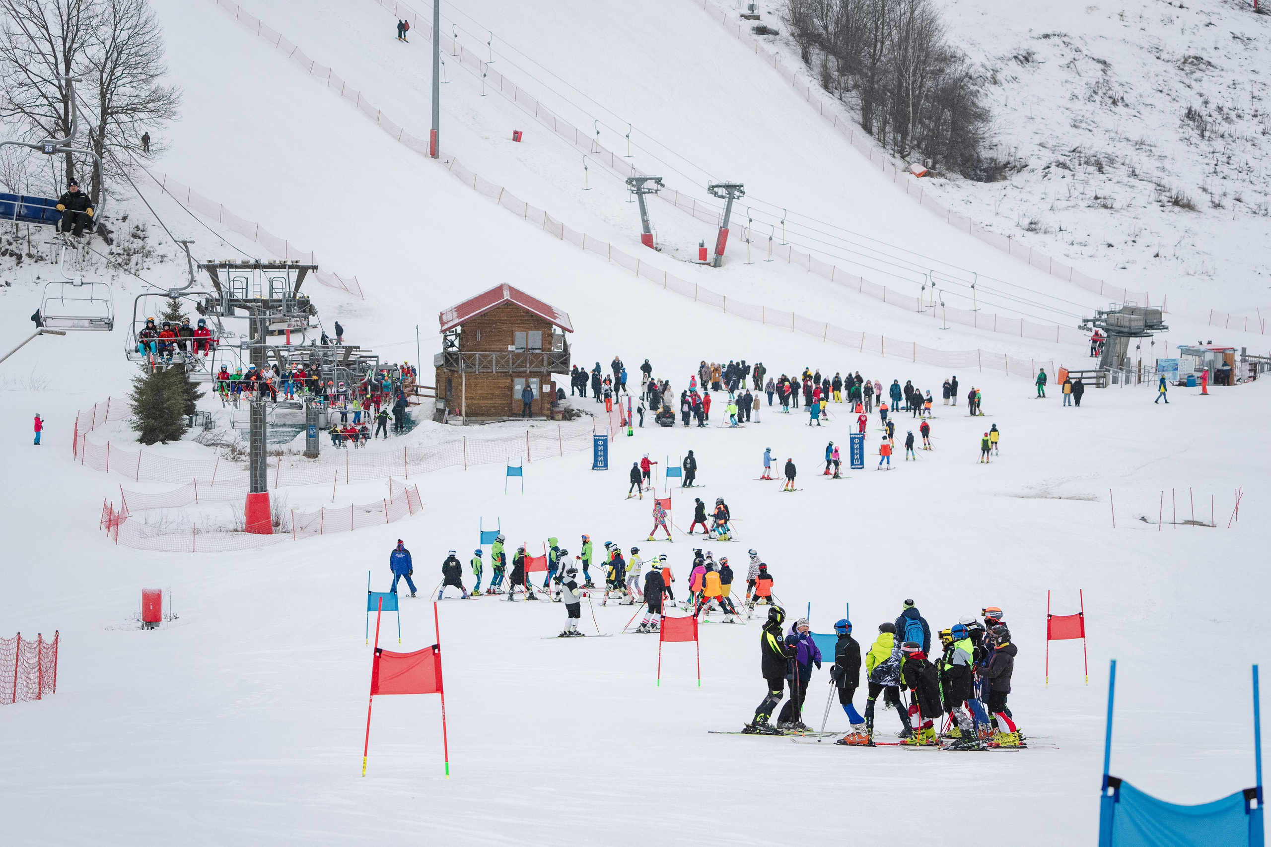 Горные лыжи. Первенство Центрального Федерального Округа. GS U14 Шуколово. Фотограф Студитский Евгений