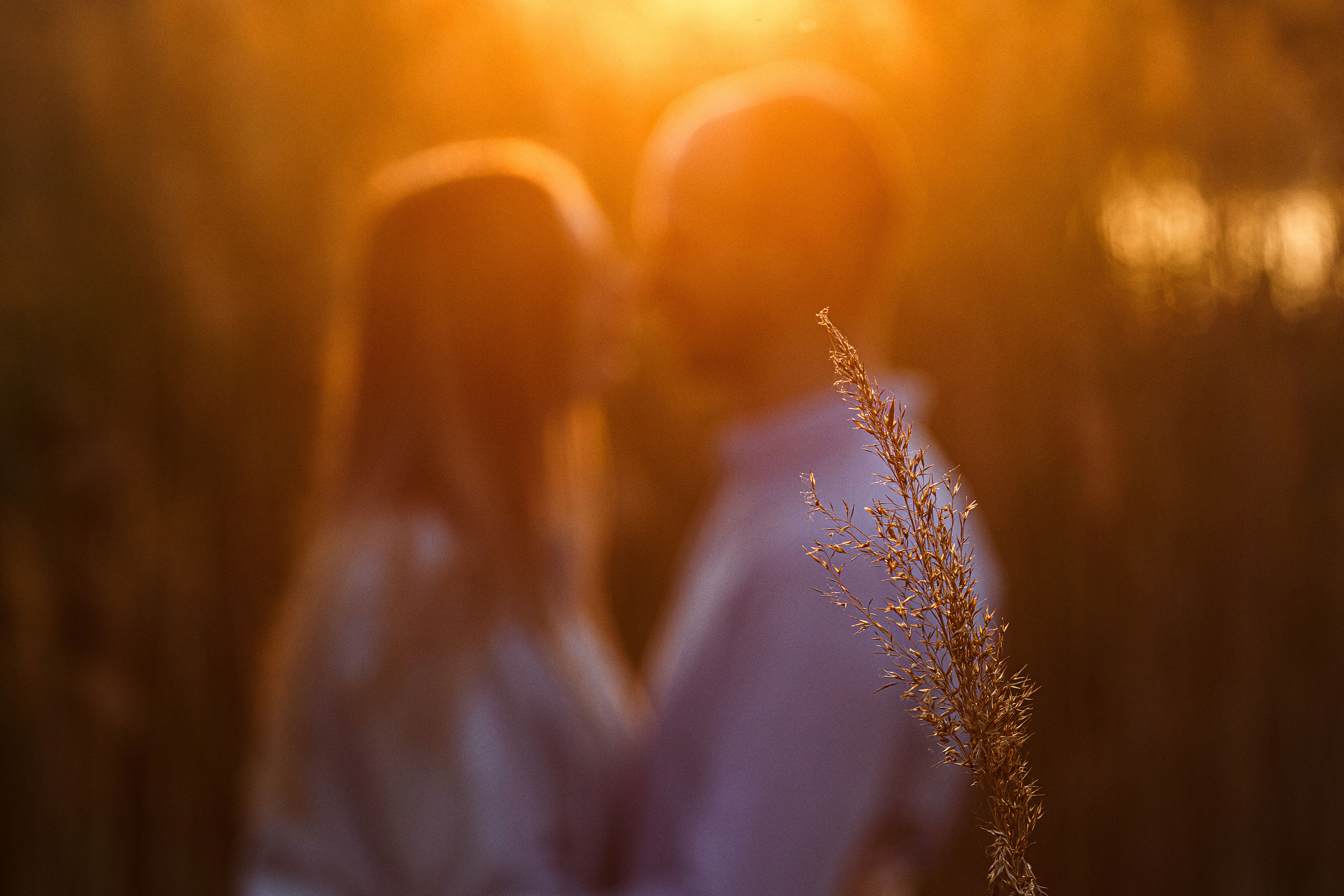 Съемка на природе. Свадебный, семейный и репортажный фотограф Галобурда Юрий