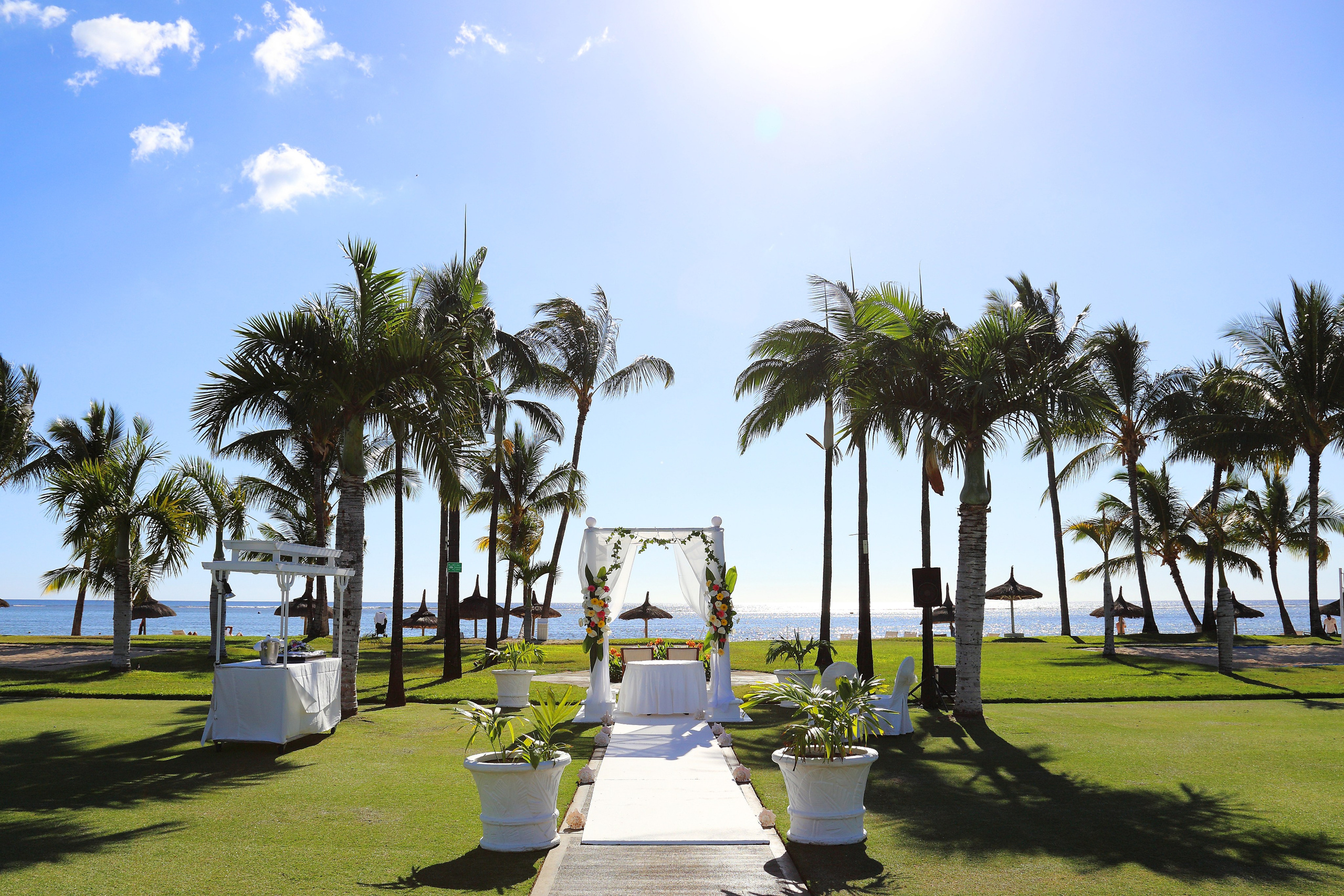 Свадьбы. Фотограф Чистоколенко Светлана г. Москва