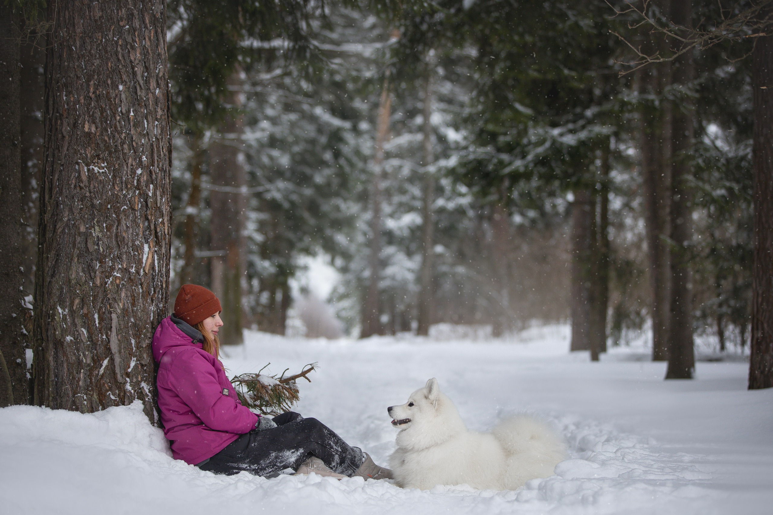 Руби, Николь, Кирилл и Мила. Фотограф анималист в Москве Майорова Евгения