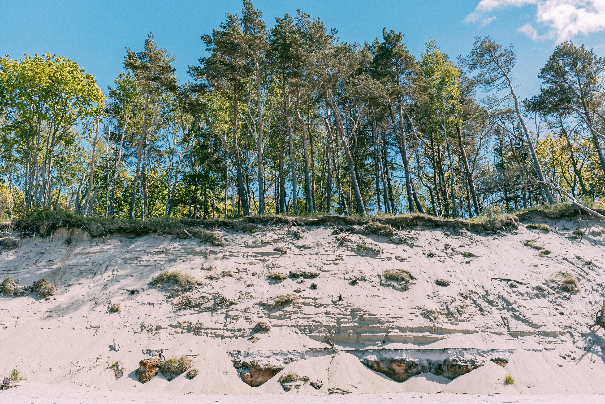 Зеленоградск. Аня Степанова