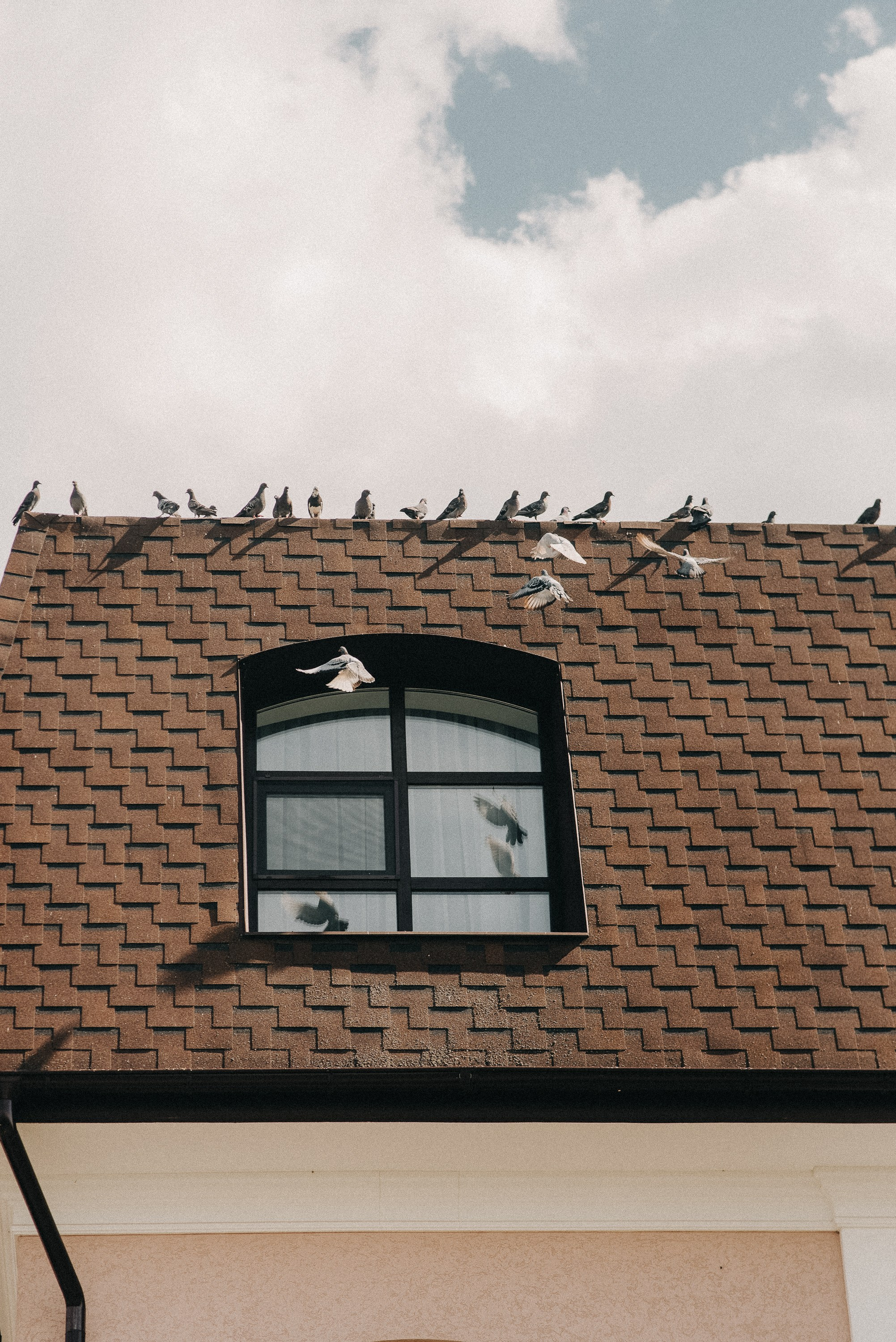 Настя и Никита. Свадебный и семейный фотограф в Курске Николай Бусел