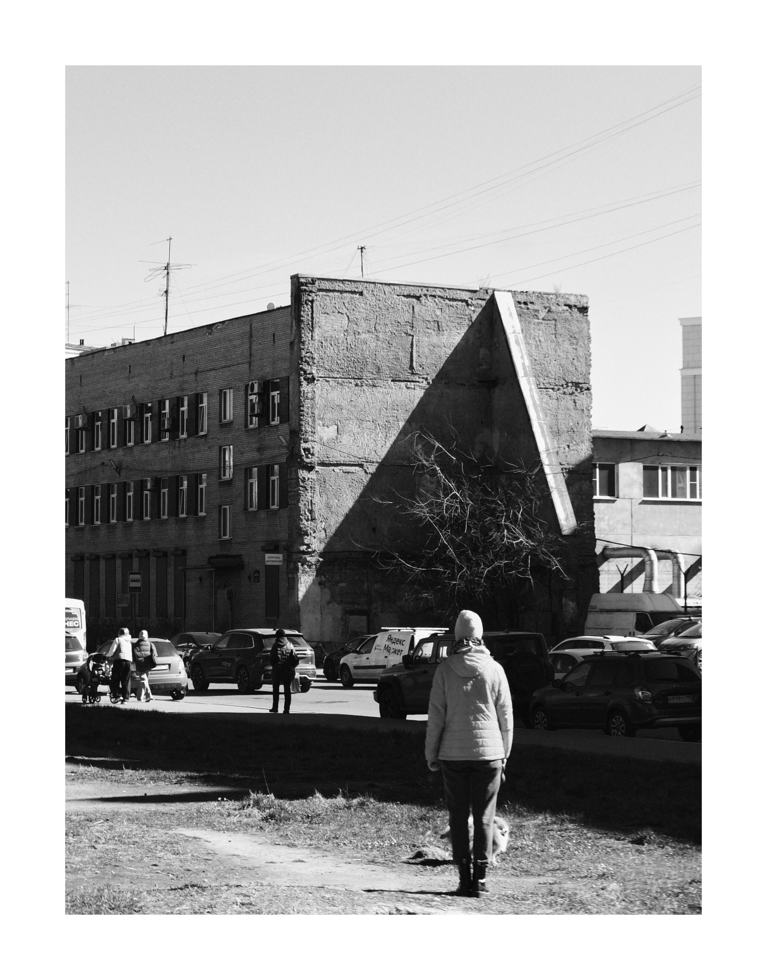 Bec. Шмитов Егор