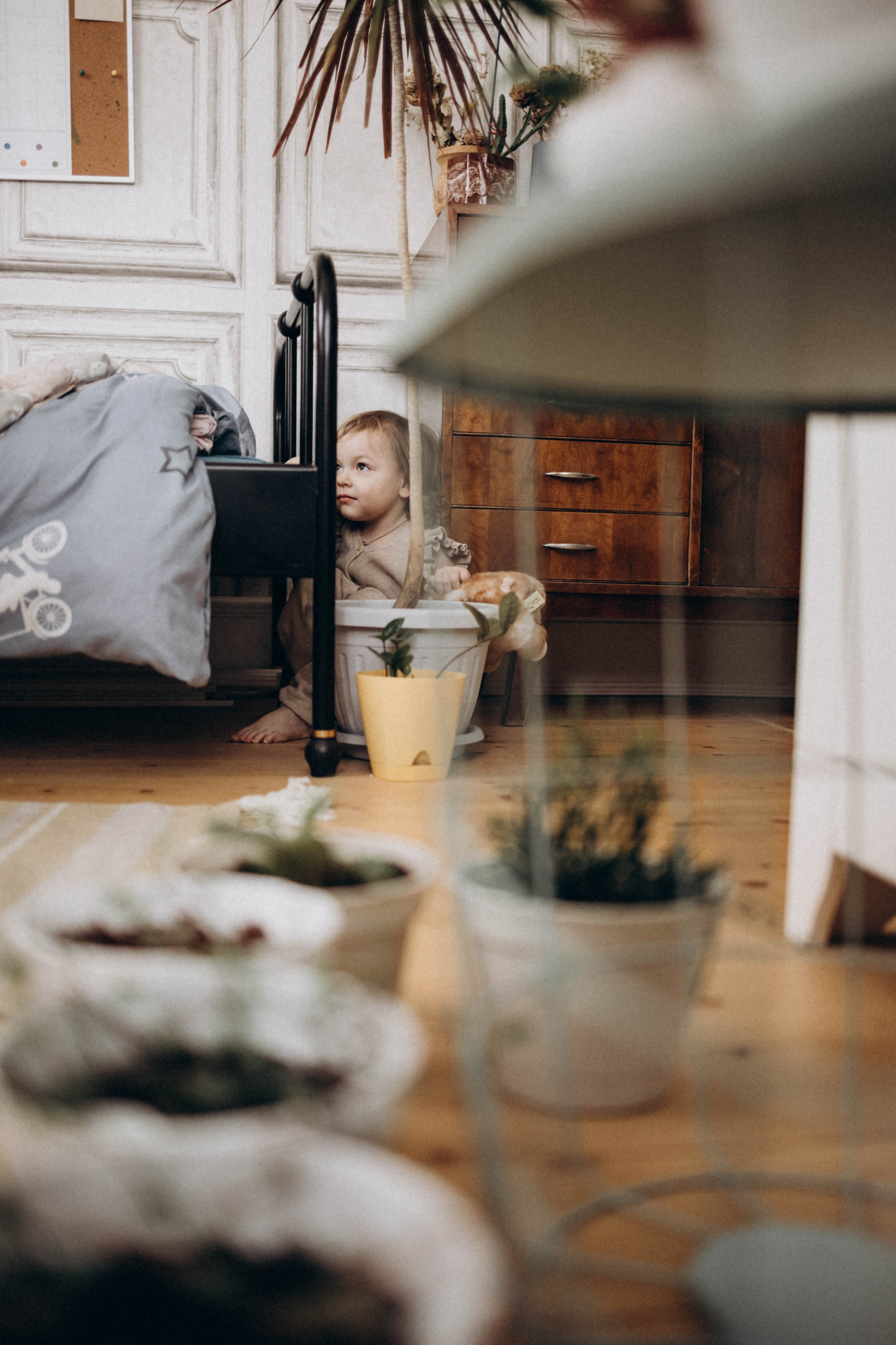 Домашняя семейная история. Главная