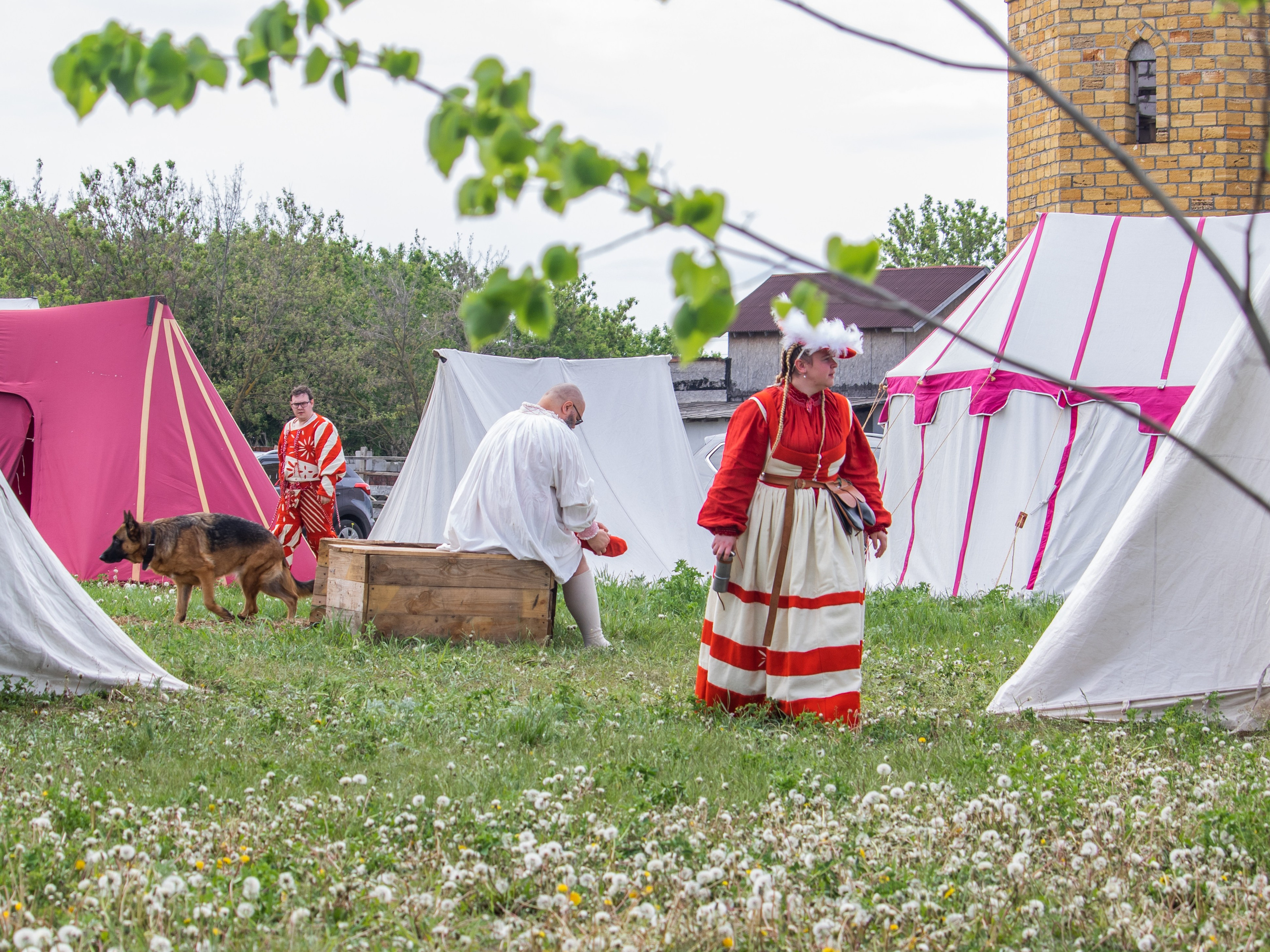 ДичьБург 2023