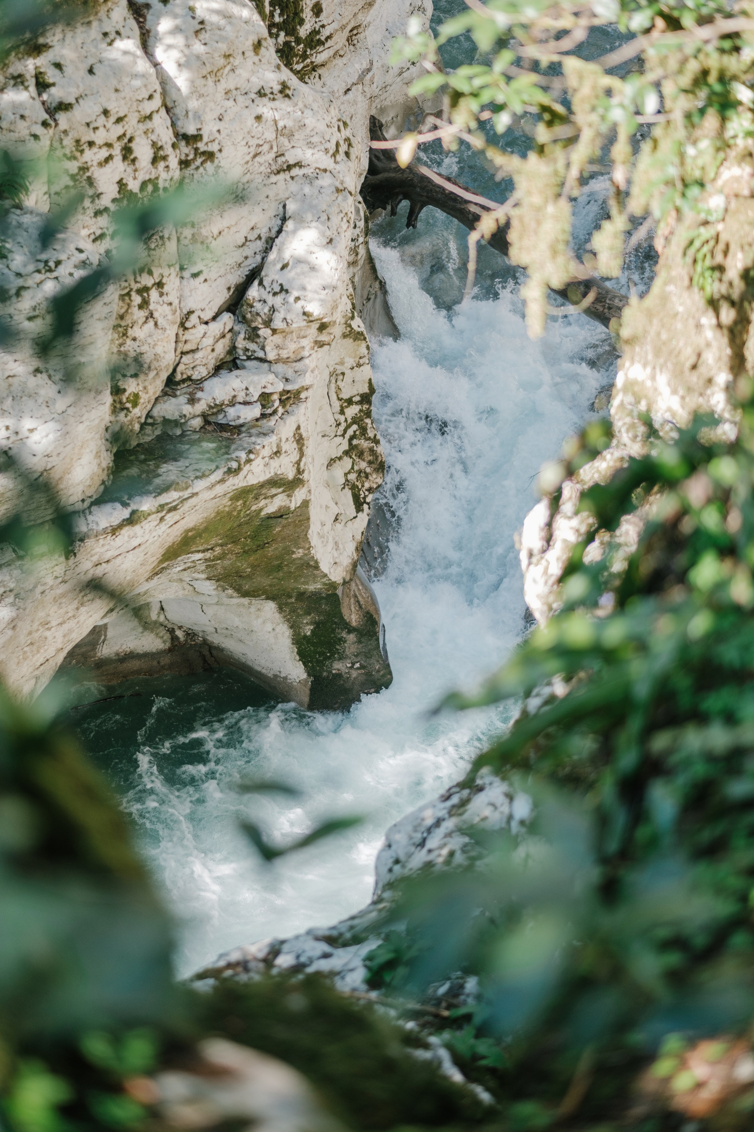 Белые скалы. Свадебный Видеограф Фотограф в Сочи