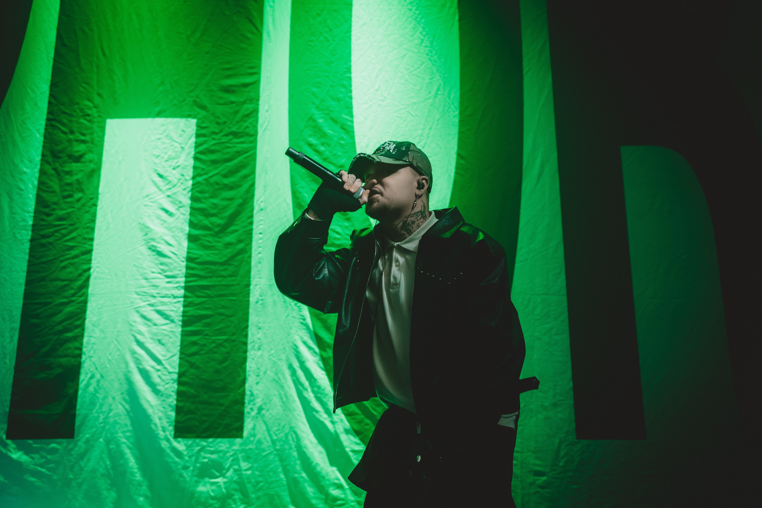 SALUKI. Фотограф Санкт-Петербурга