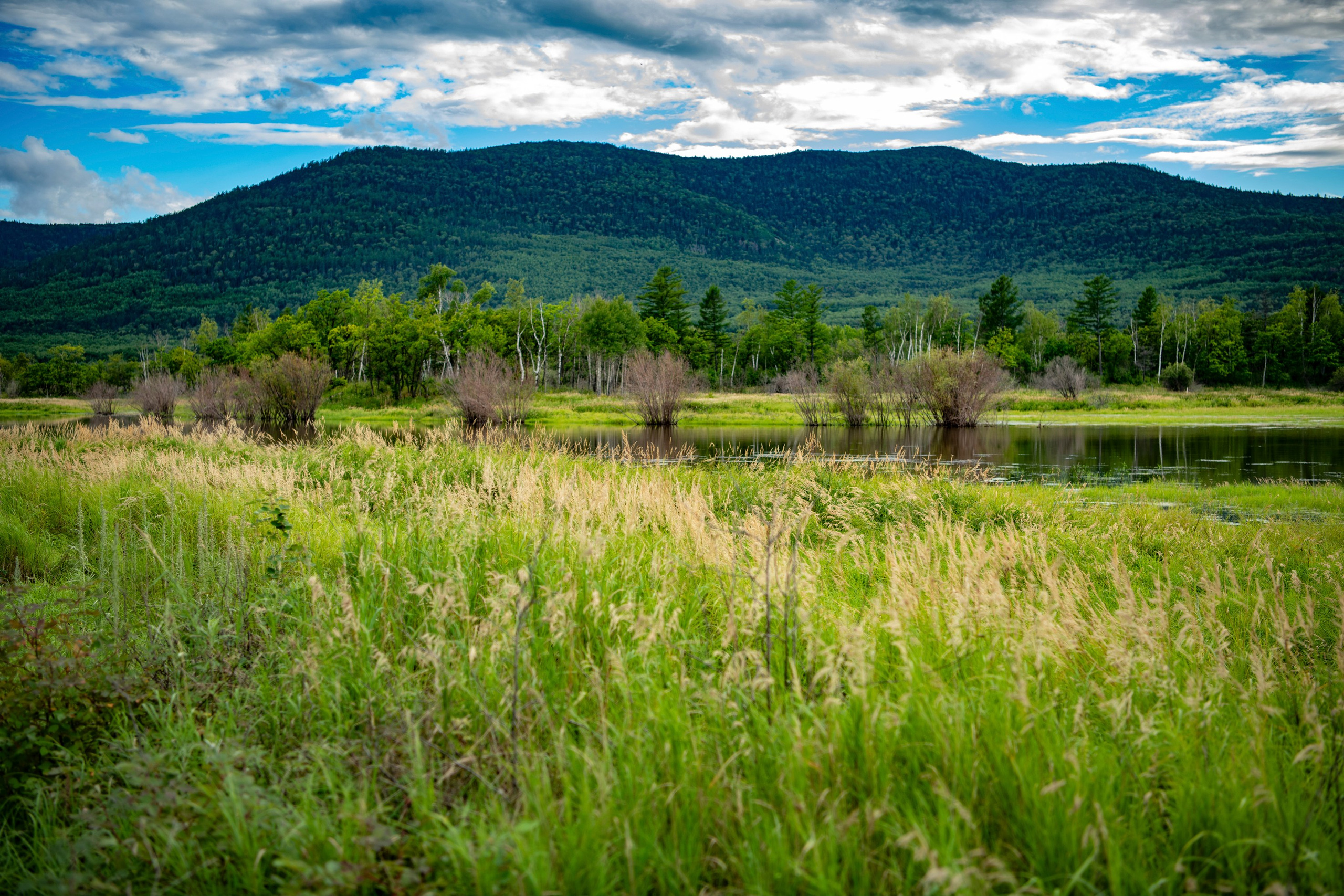 Природа Хабаровского края. Команда фотографов Кристины Ивановой