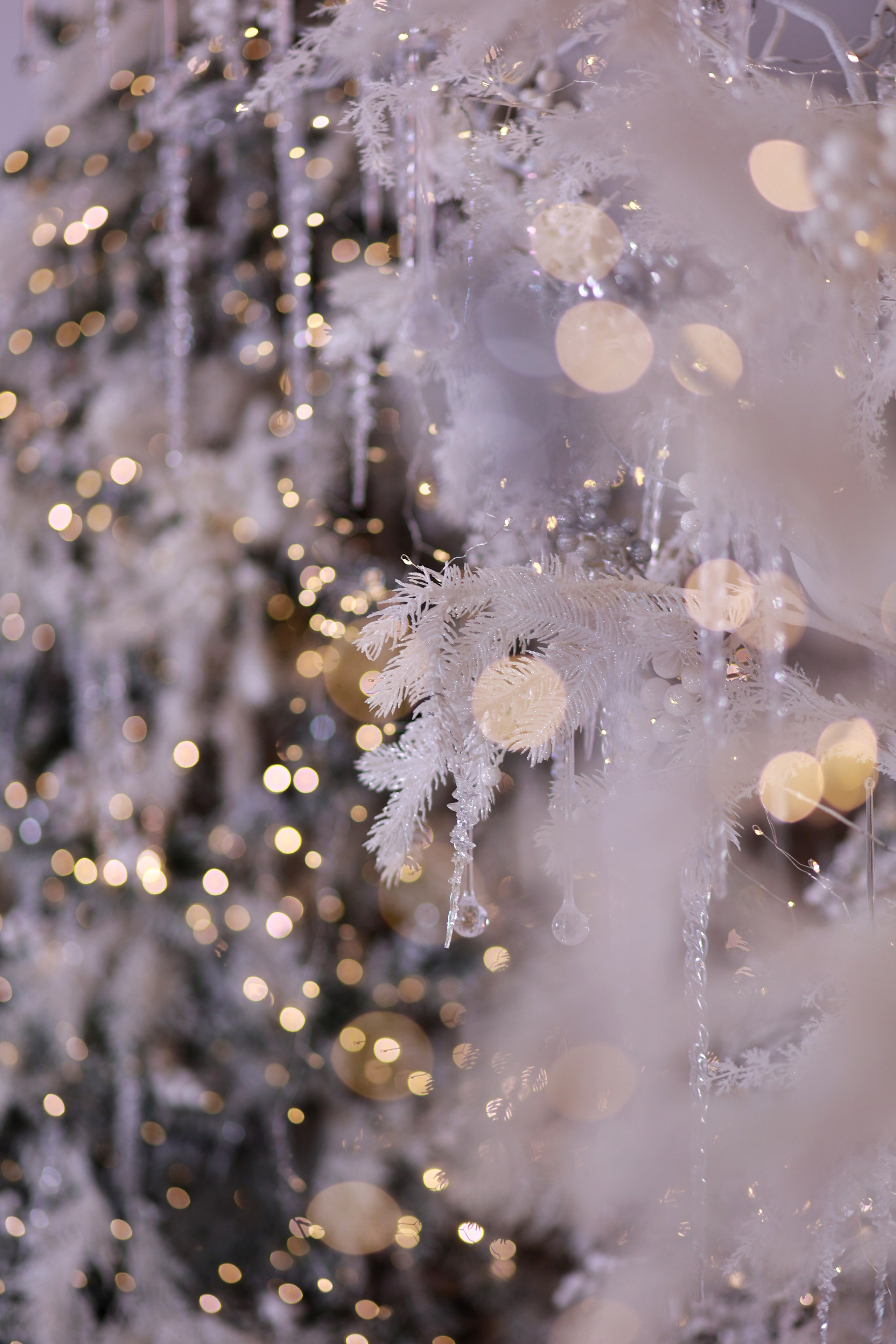 Alice. Детский семейный фотограф Краснодар