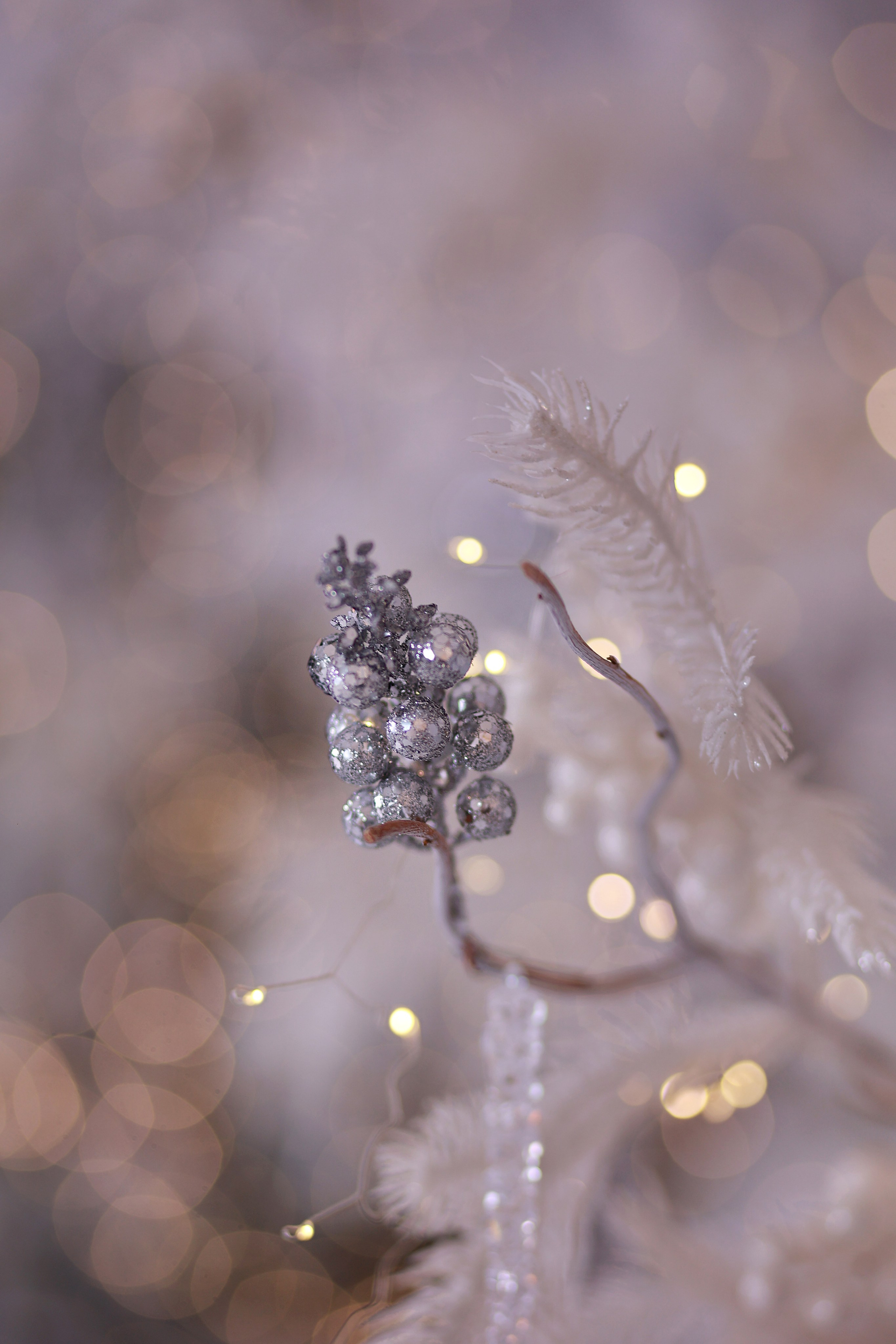 Alice. Детский семейный фотограф Краснодар