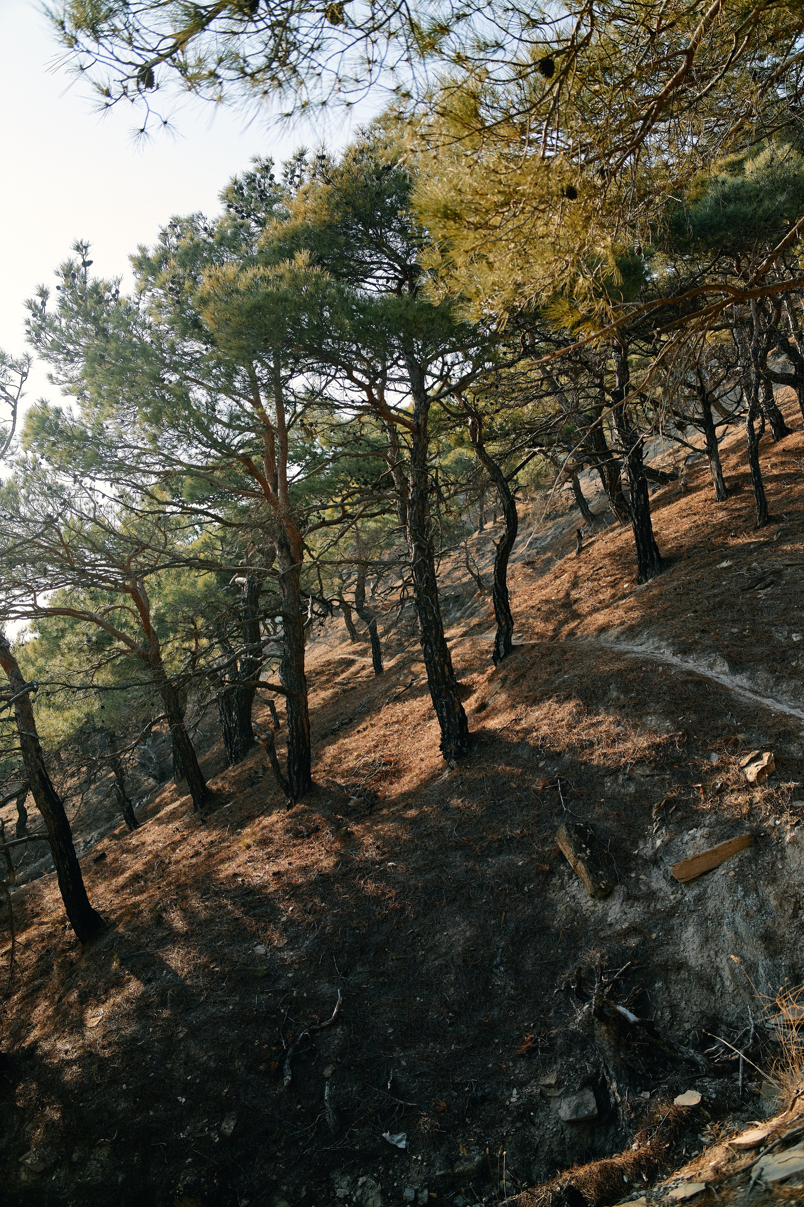 Юг России. Профессиональный Фотограф во Владимире, в Москве и в Суздале — Полина Романычева