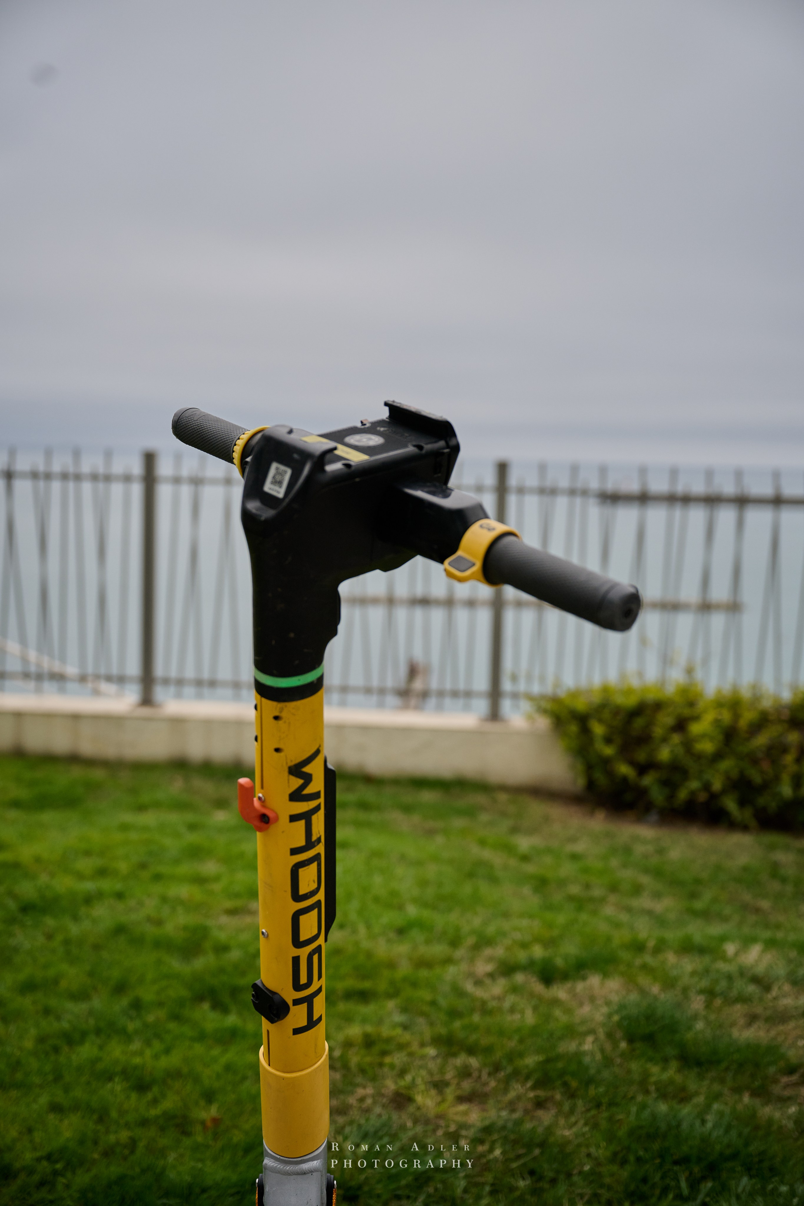 Сочи. Апрель 2025. Фотограф Роман Адлер