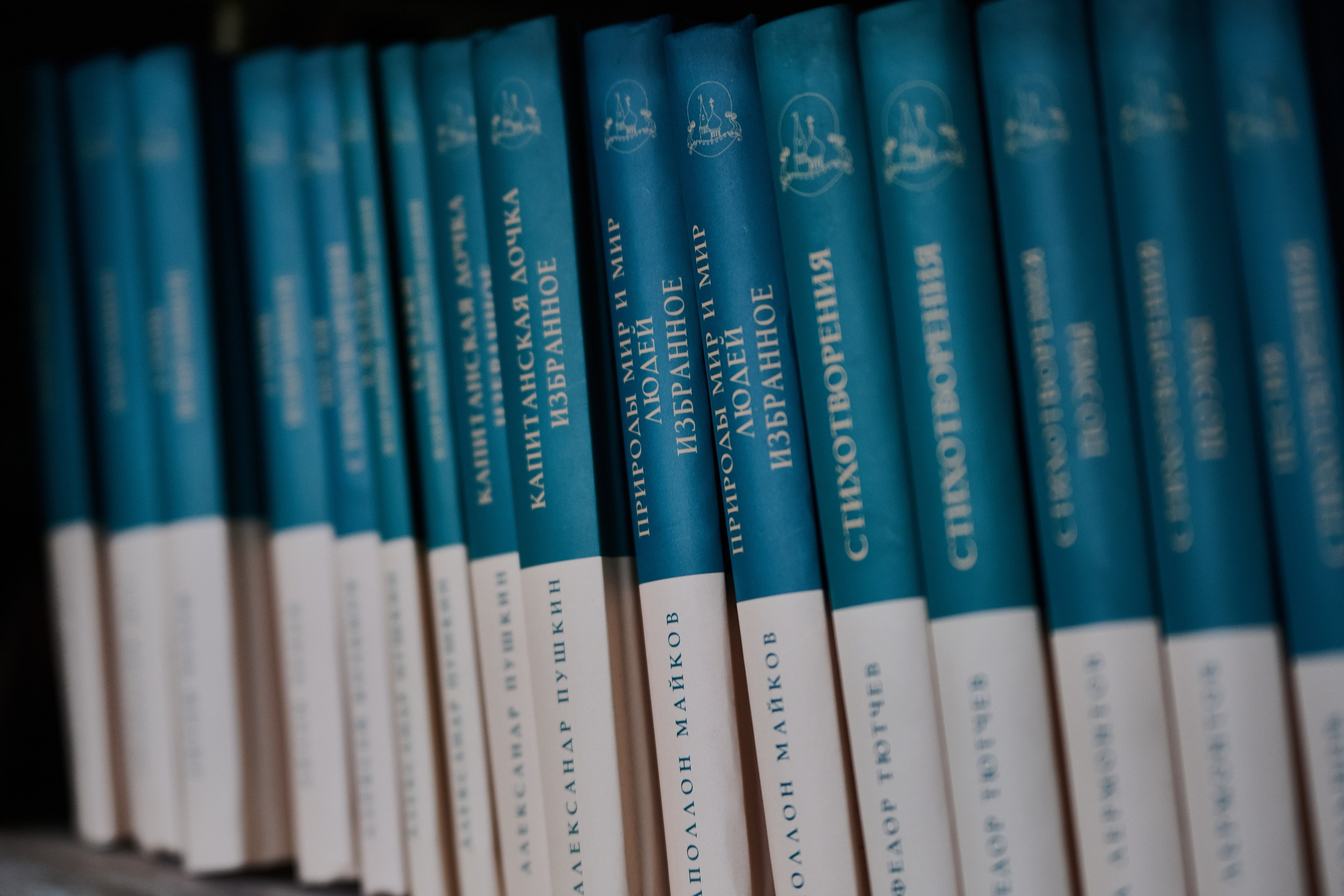 Краснореченское (Луганская область). Ноябрь 2024. Фотограф Роман Адлер