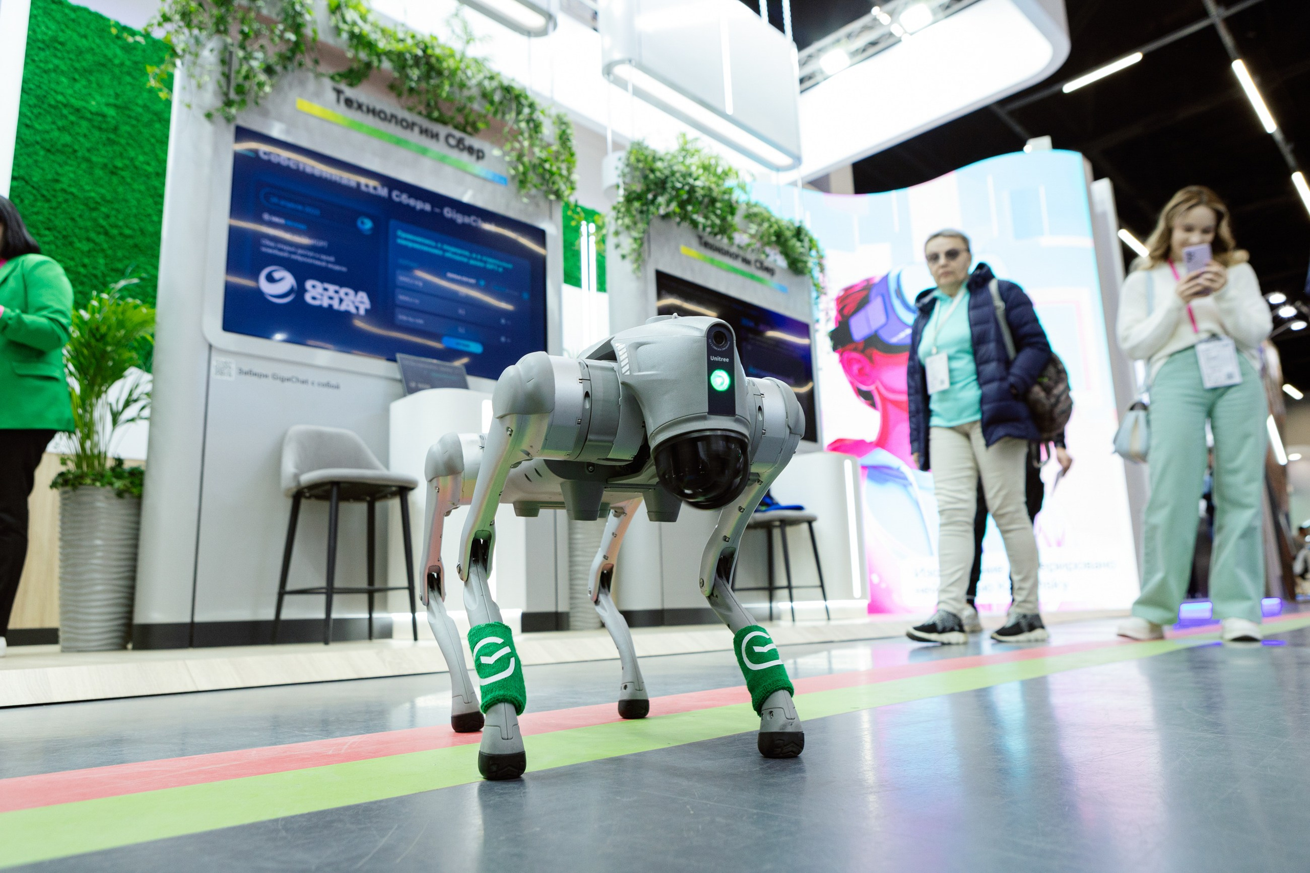 ЦИПР. LEVORIGINAL