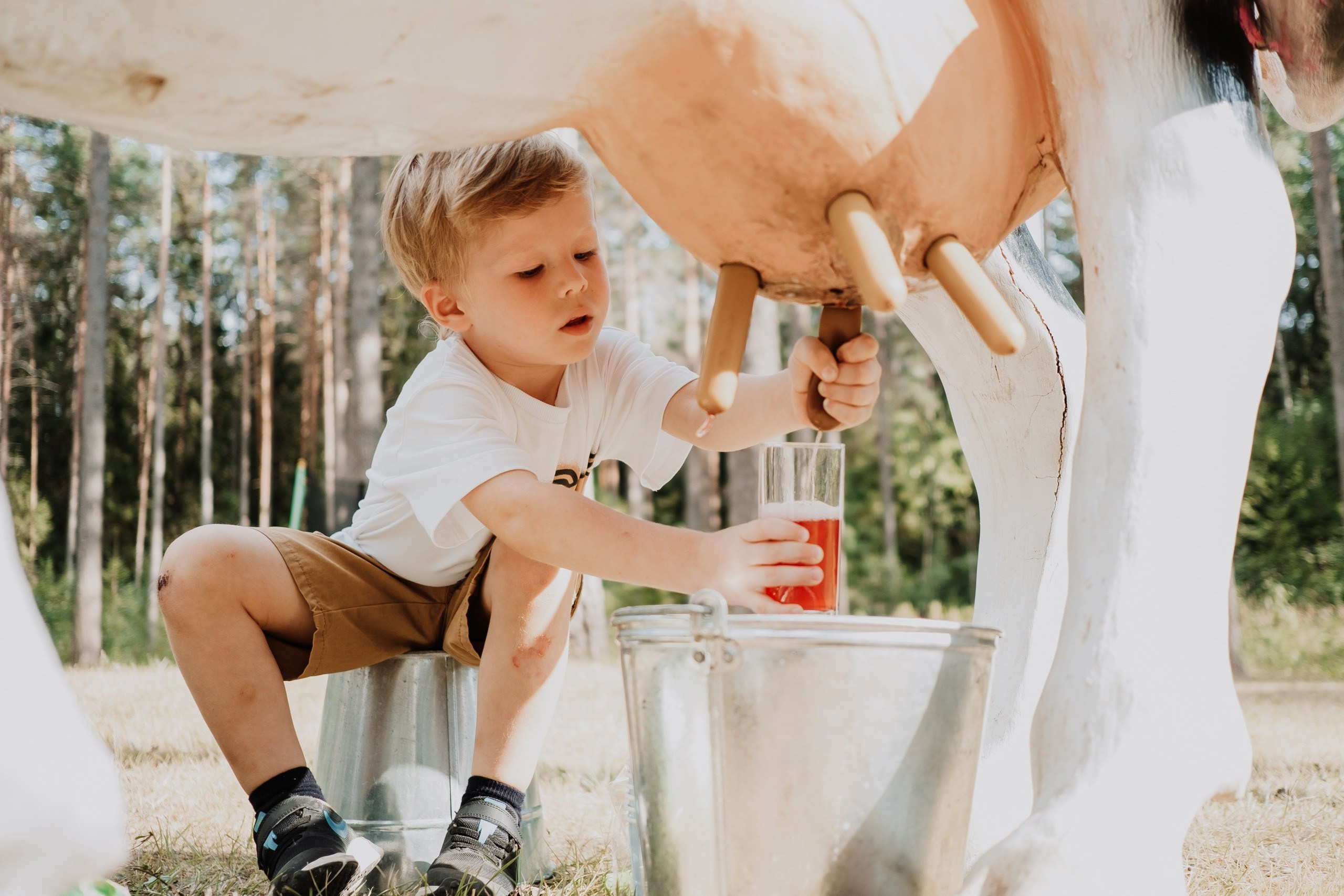 Репортаж фото. Фотограф и видеограф на мероприятия