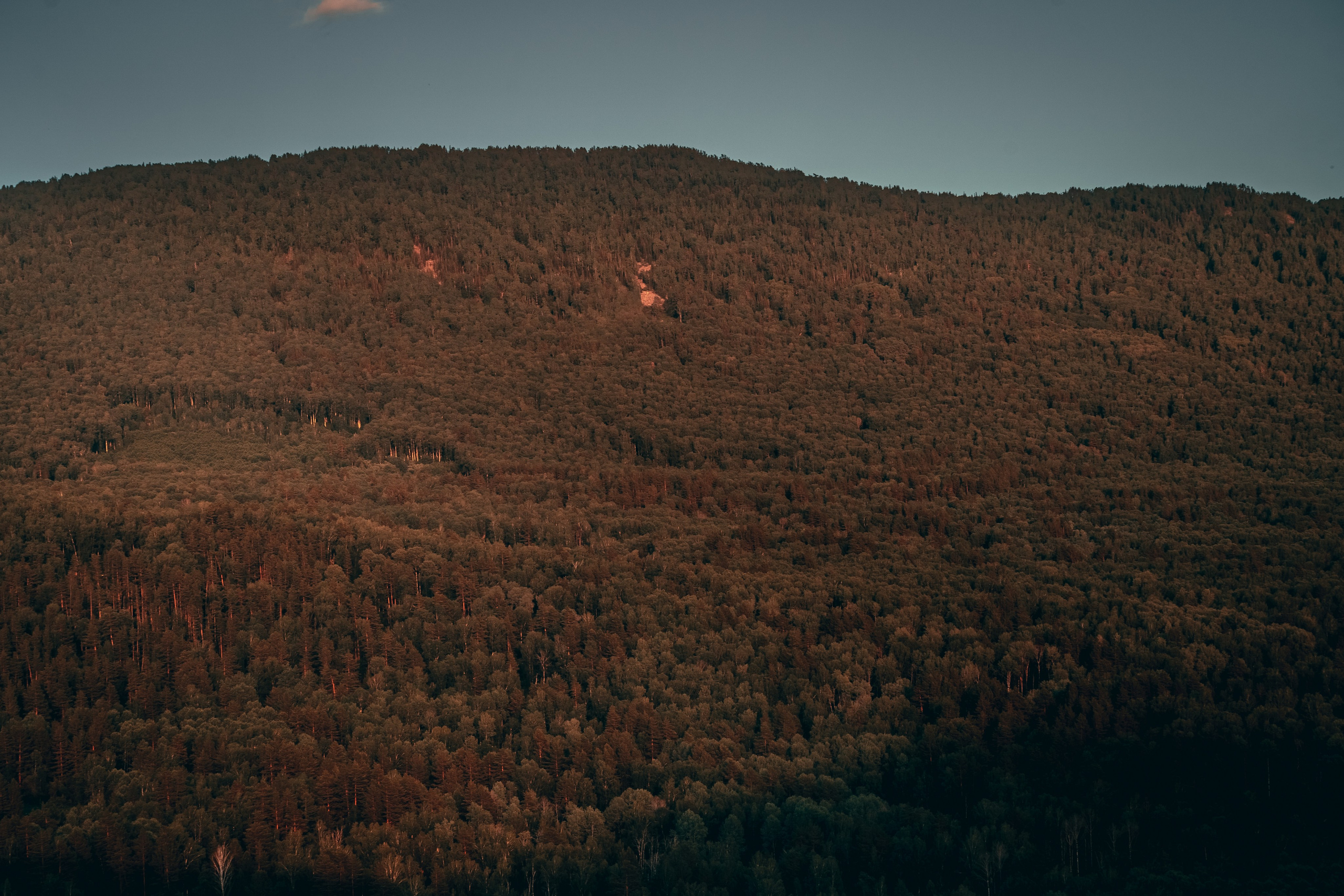 Алтай. Оператор и Фотограф в Санкт-Петербурге и Москве