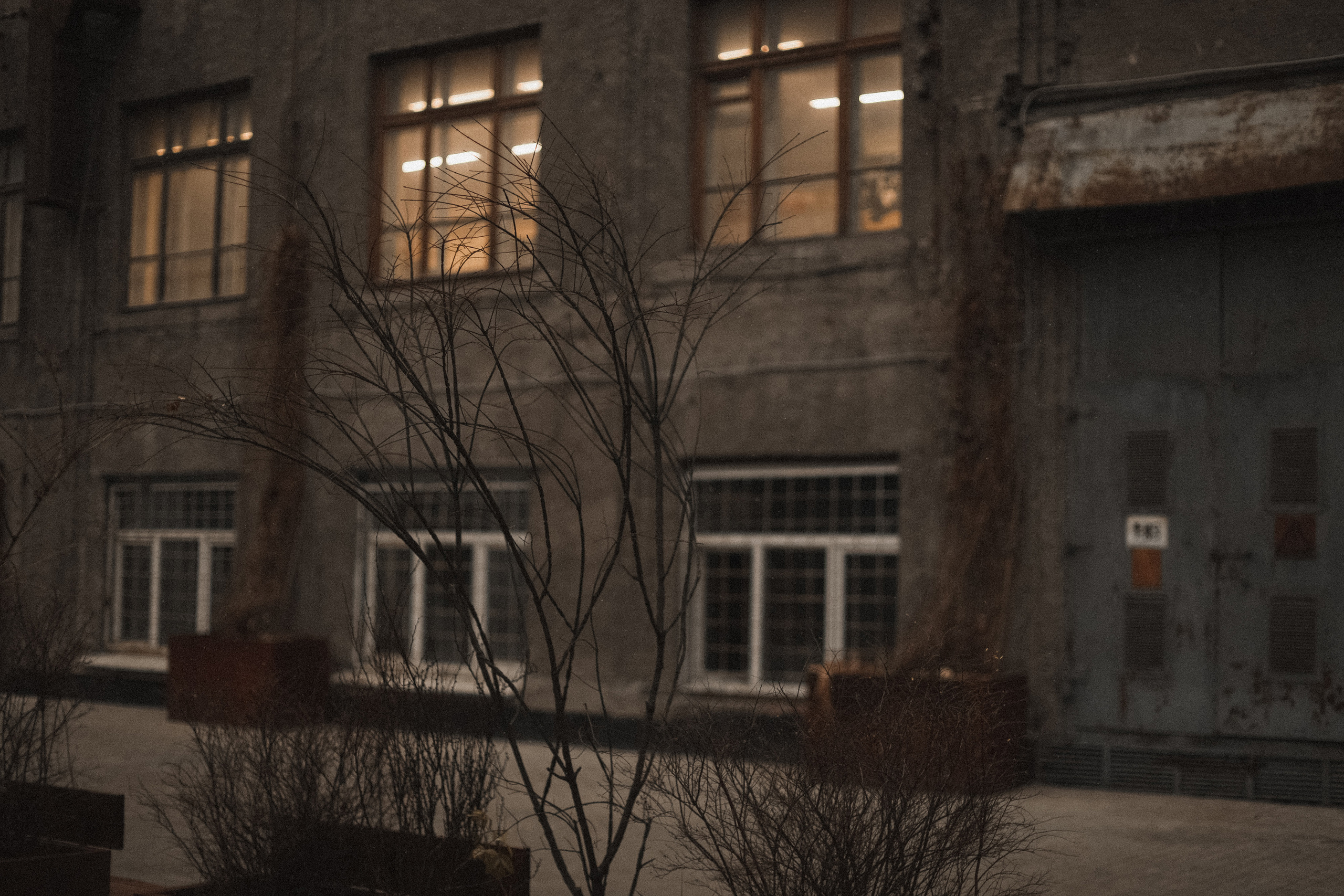 Саша и Лера. Алексеева Татьяна свадебный фотограф Краснодар, Краснодарский край