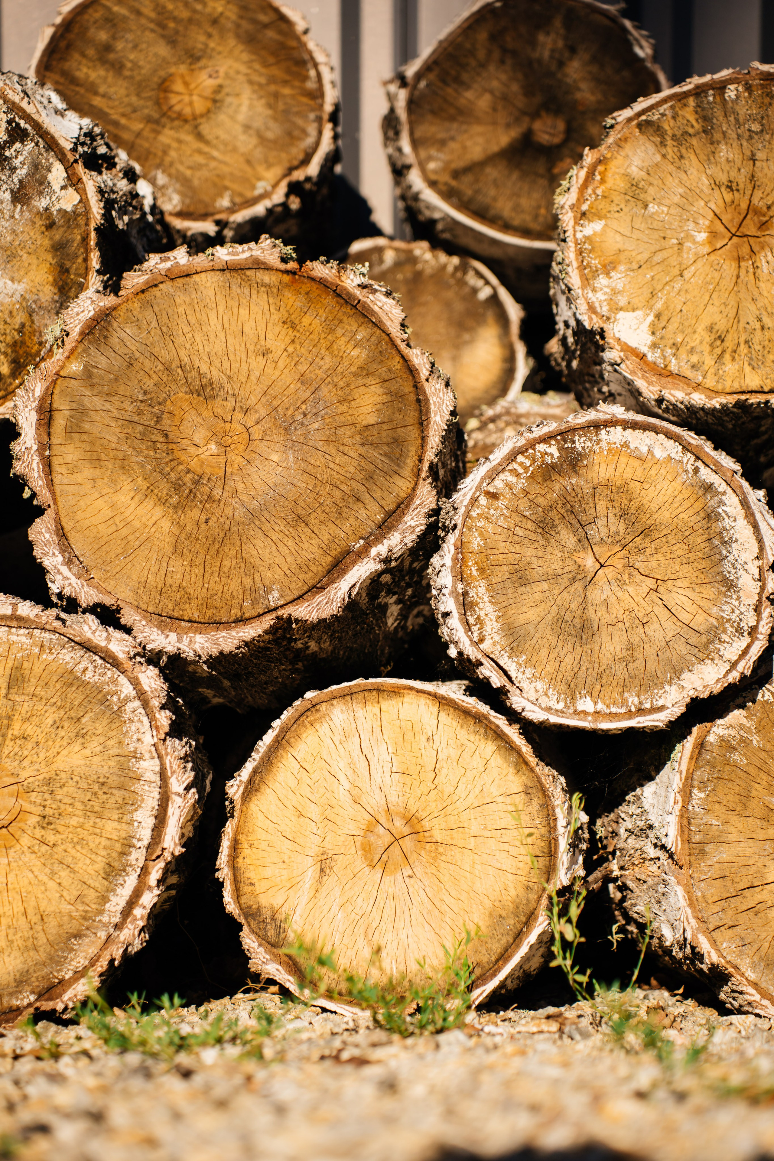 Weekend with friends. Видеограф и Фотограф в Челябинске Ксения и Владимир Рюмины